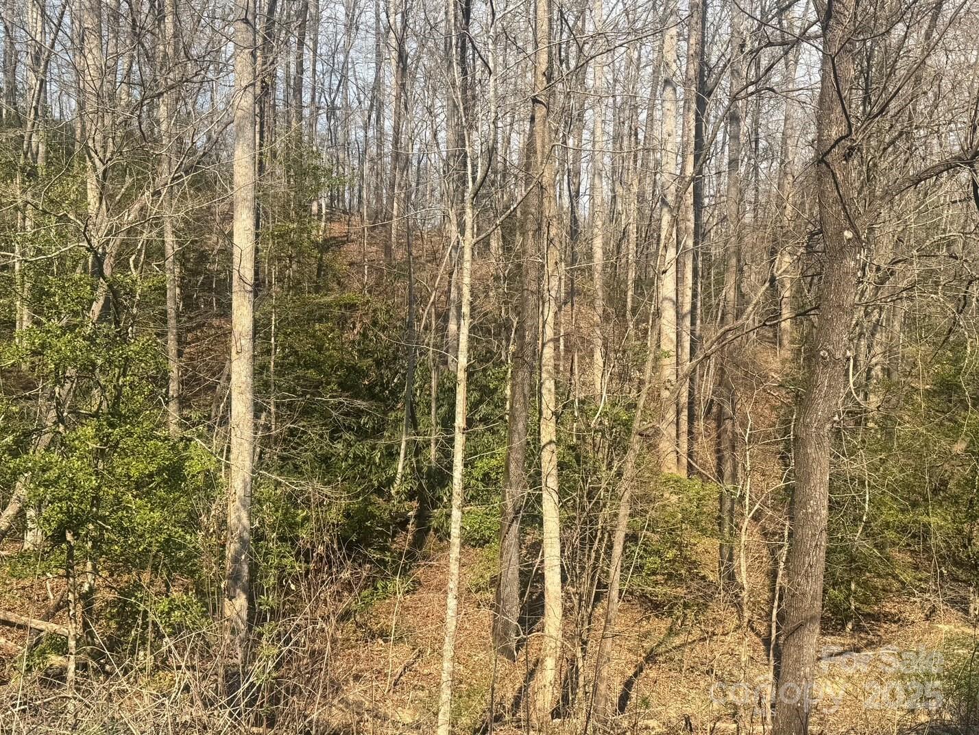 1 High Country Drive 1&2 Property Photo 2