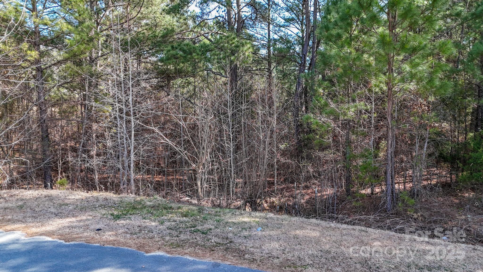 Lot 2 Sapp Road Property Photo 10
