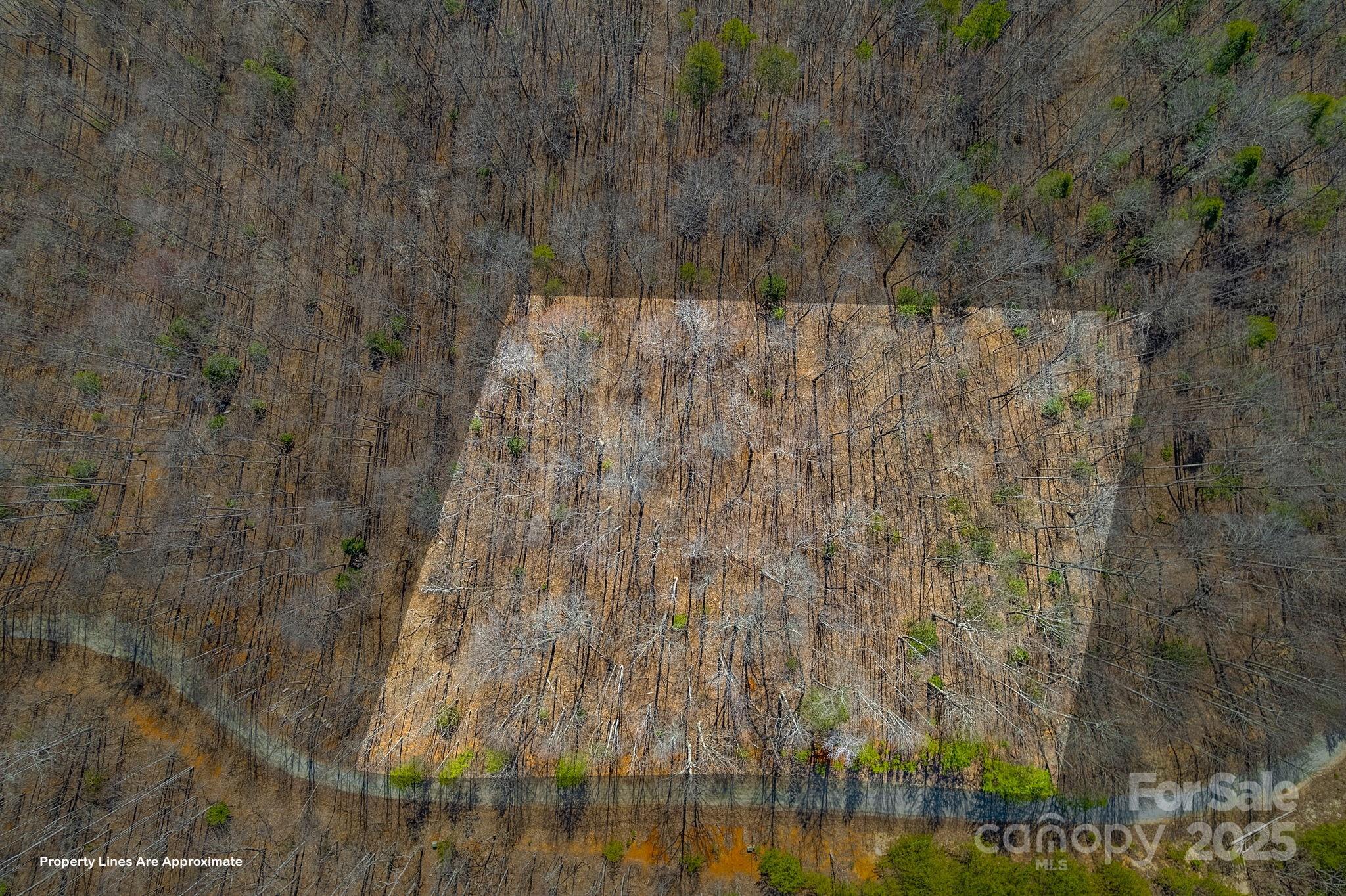 00 Champagne Ridge Property Photo 3