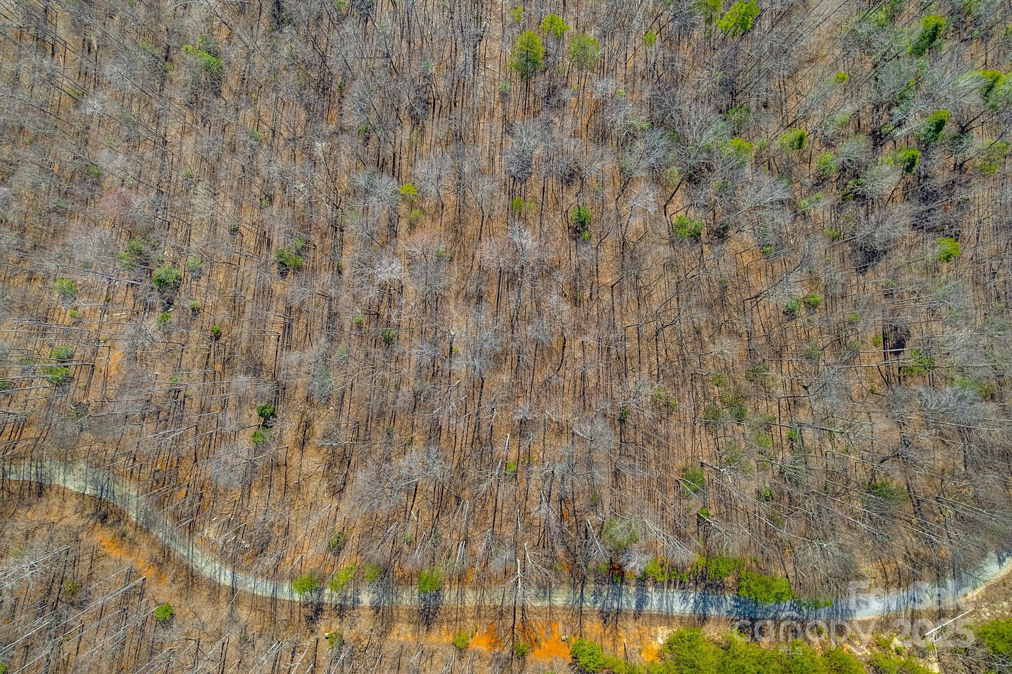 00 Champagne Ridge Property Photo 4