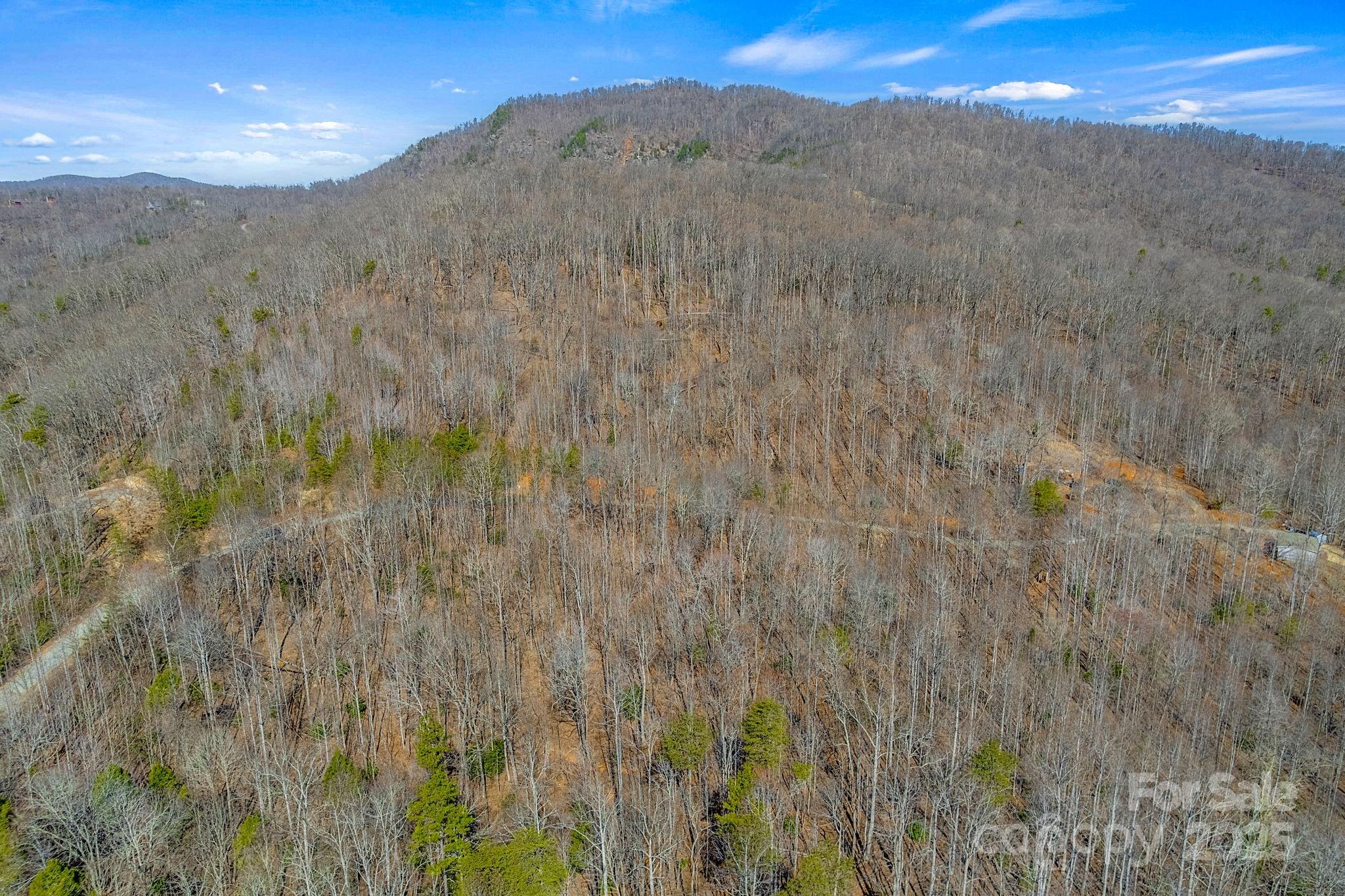 00 Champagne Ridge Property Photo 14