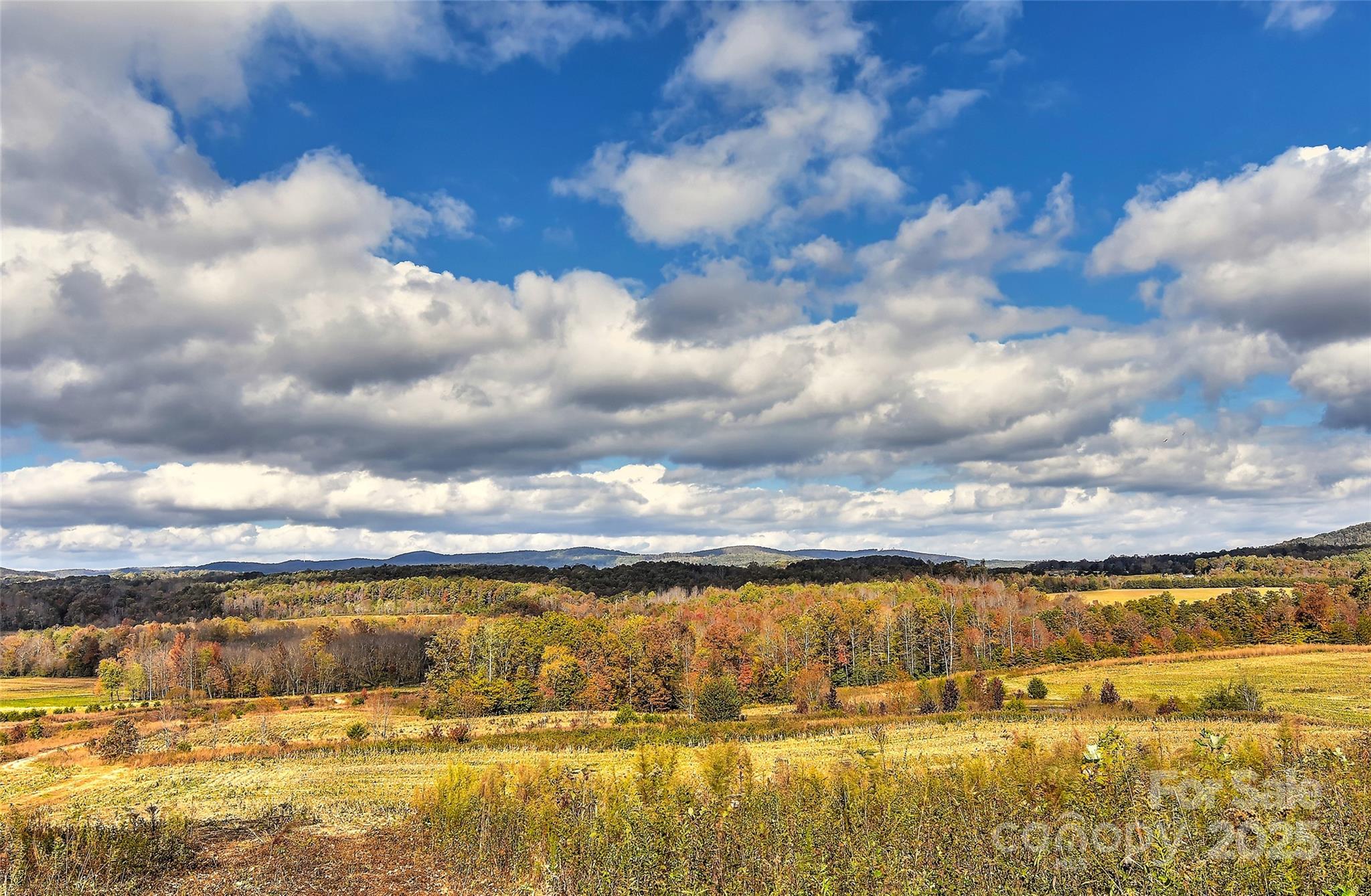153 Badenyon Place Property Photo 44
