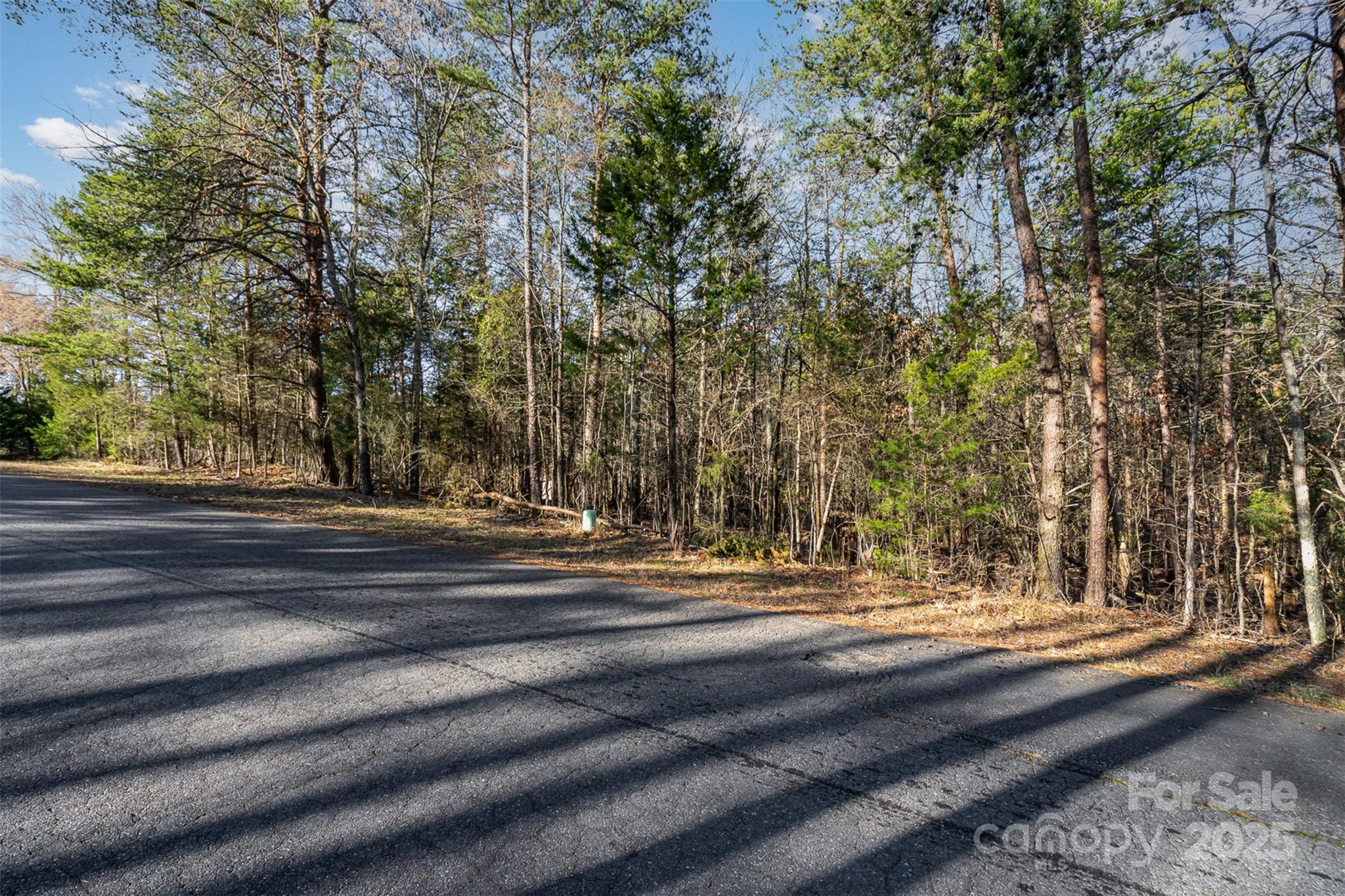 17308 Green Hill Road 23 Property Photo 5
