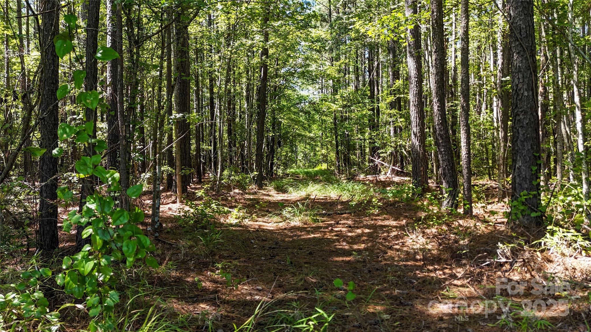 Tbd Mcgowan Road Property Photo 13