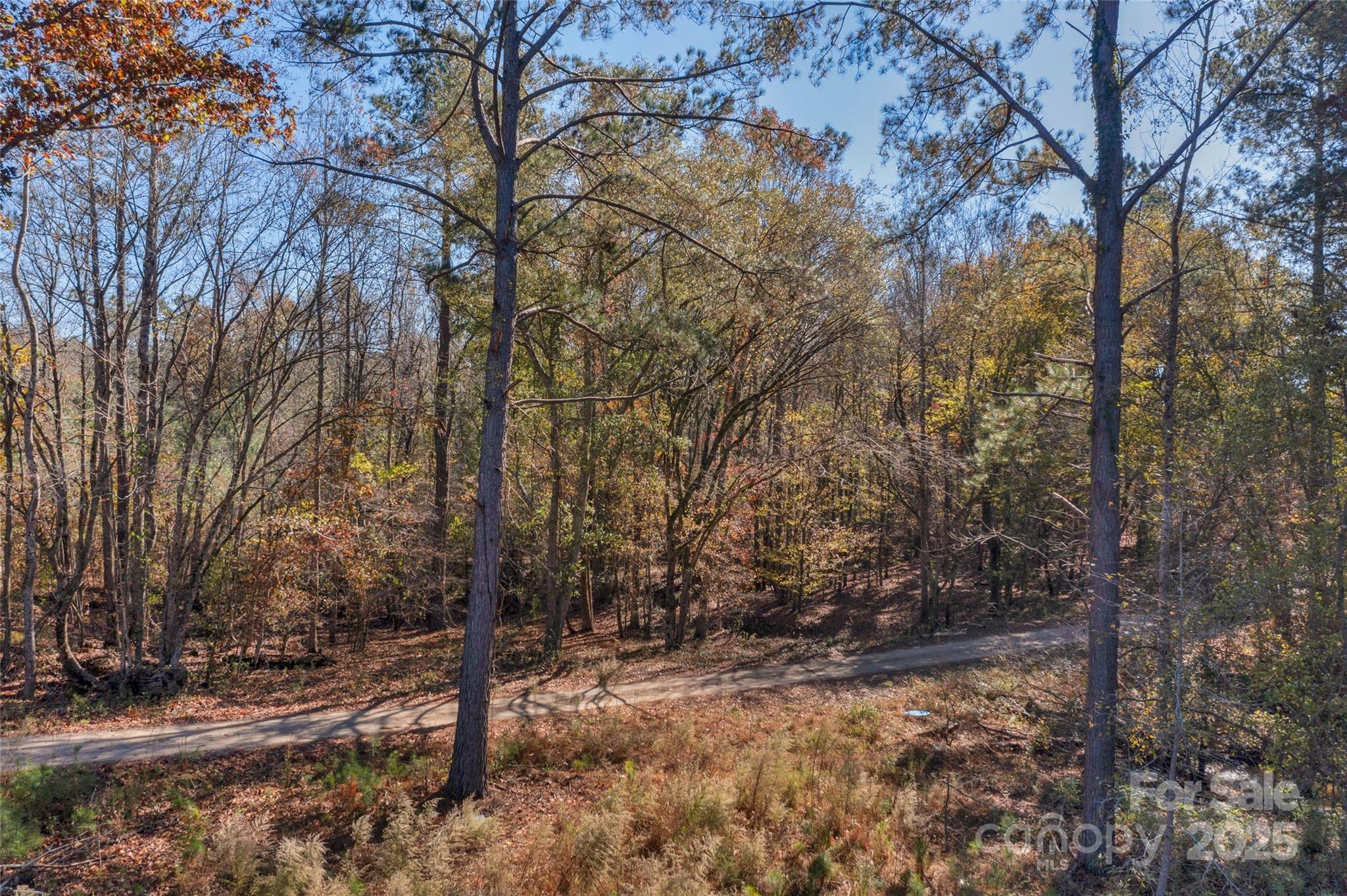 0000 Beaker Road 9 Property Photo 4