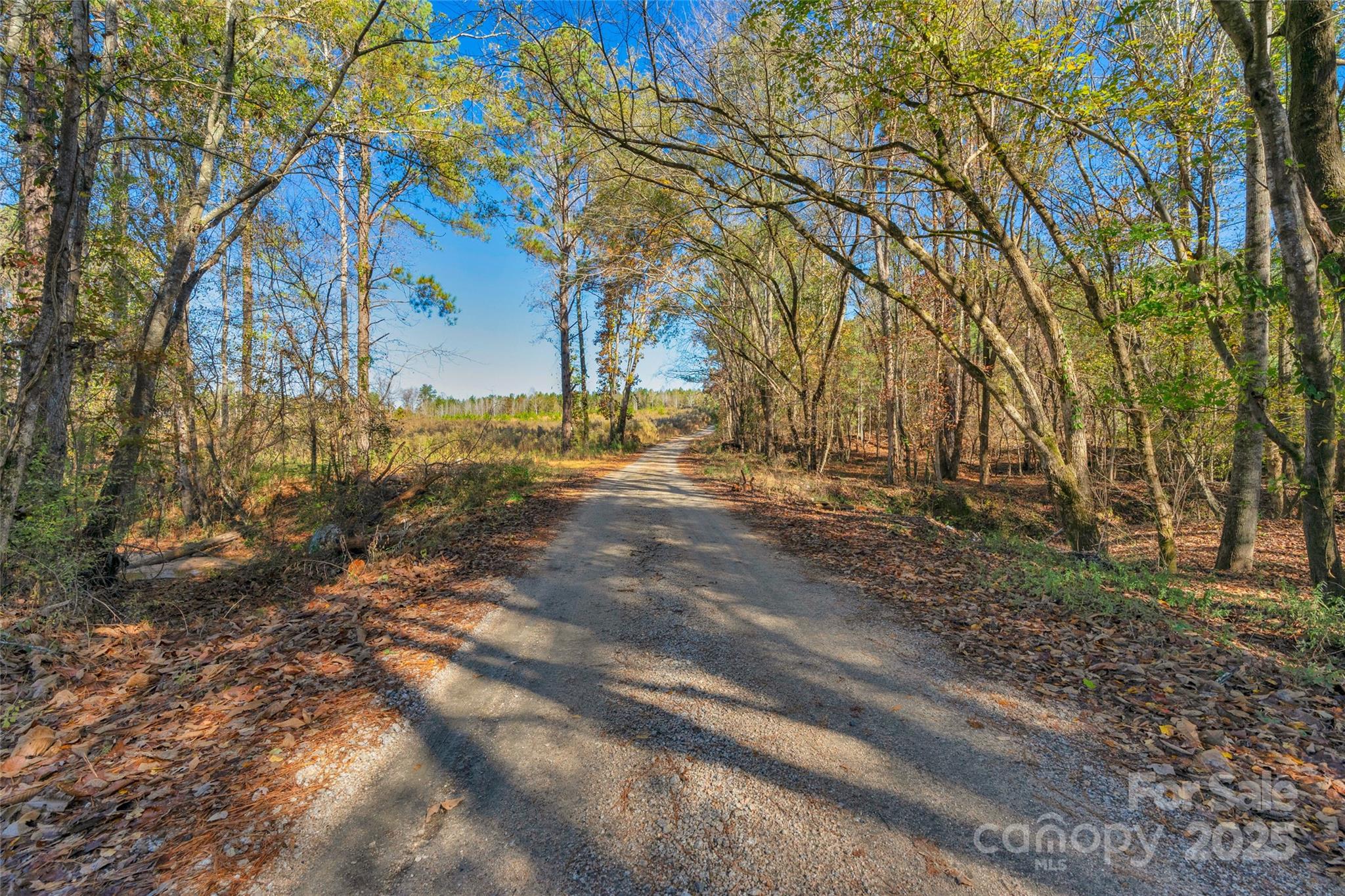 0000 Beaker Road 9 Property Photo 6