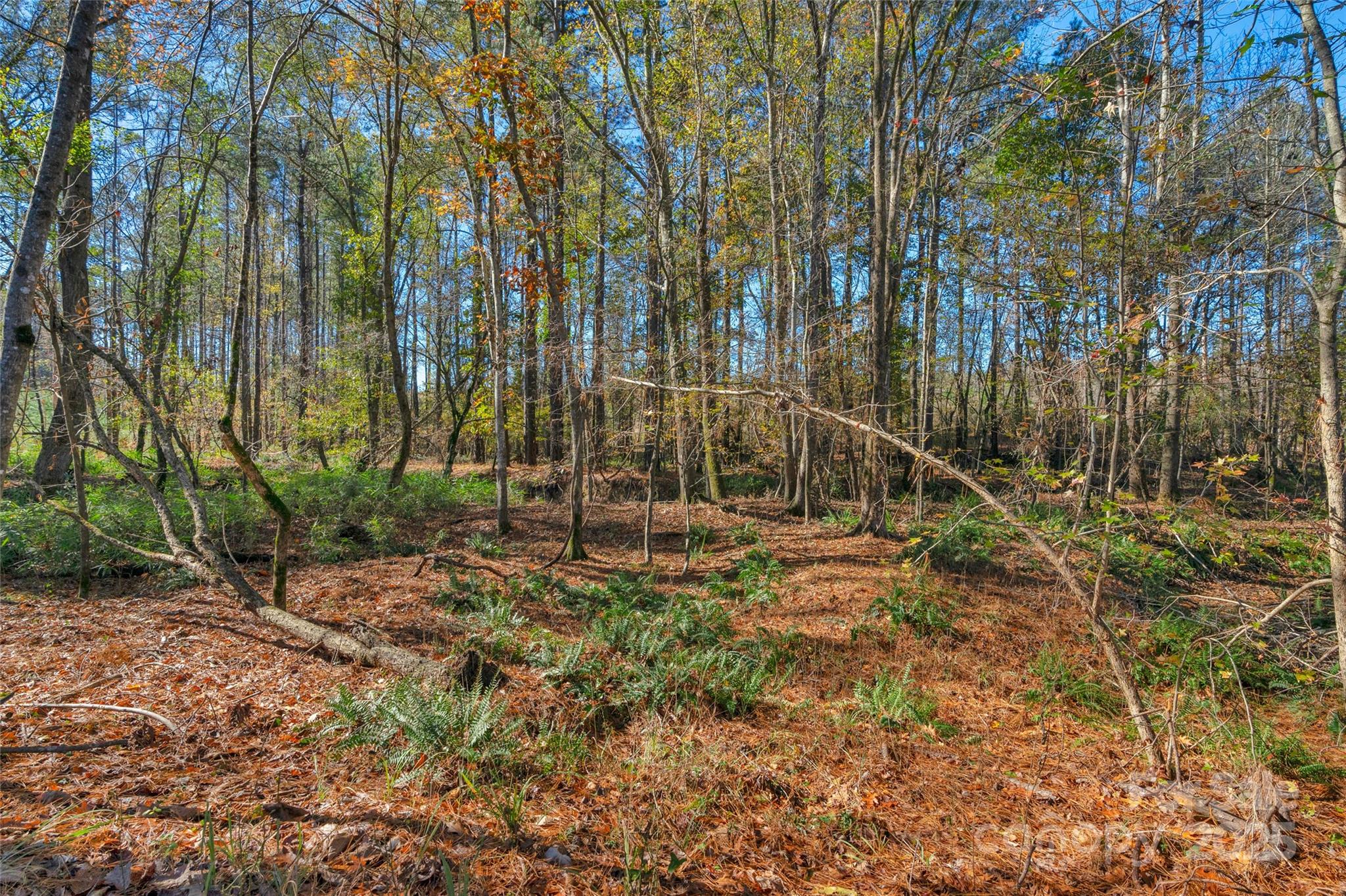 0000 Beaker Road 9 Property Photo 7