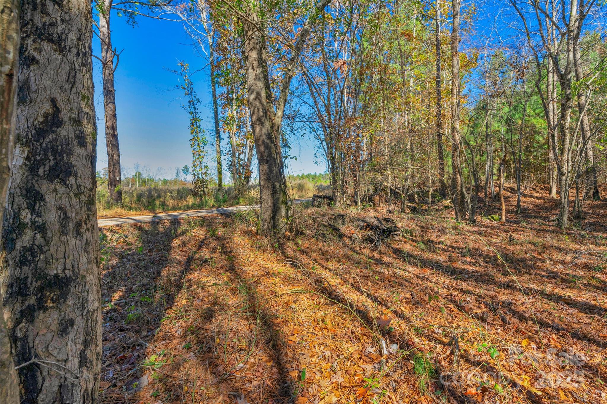0000 Beaker Road 9 Property Photo 12
