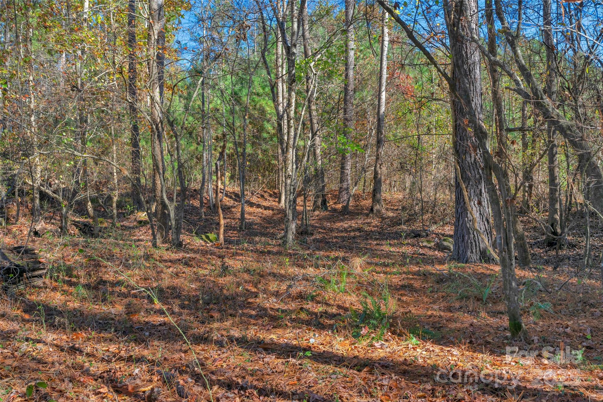 0000 Beaker Road 9 Property Photo 13