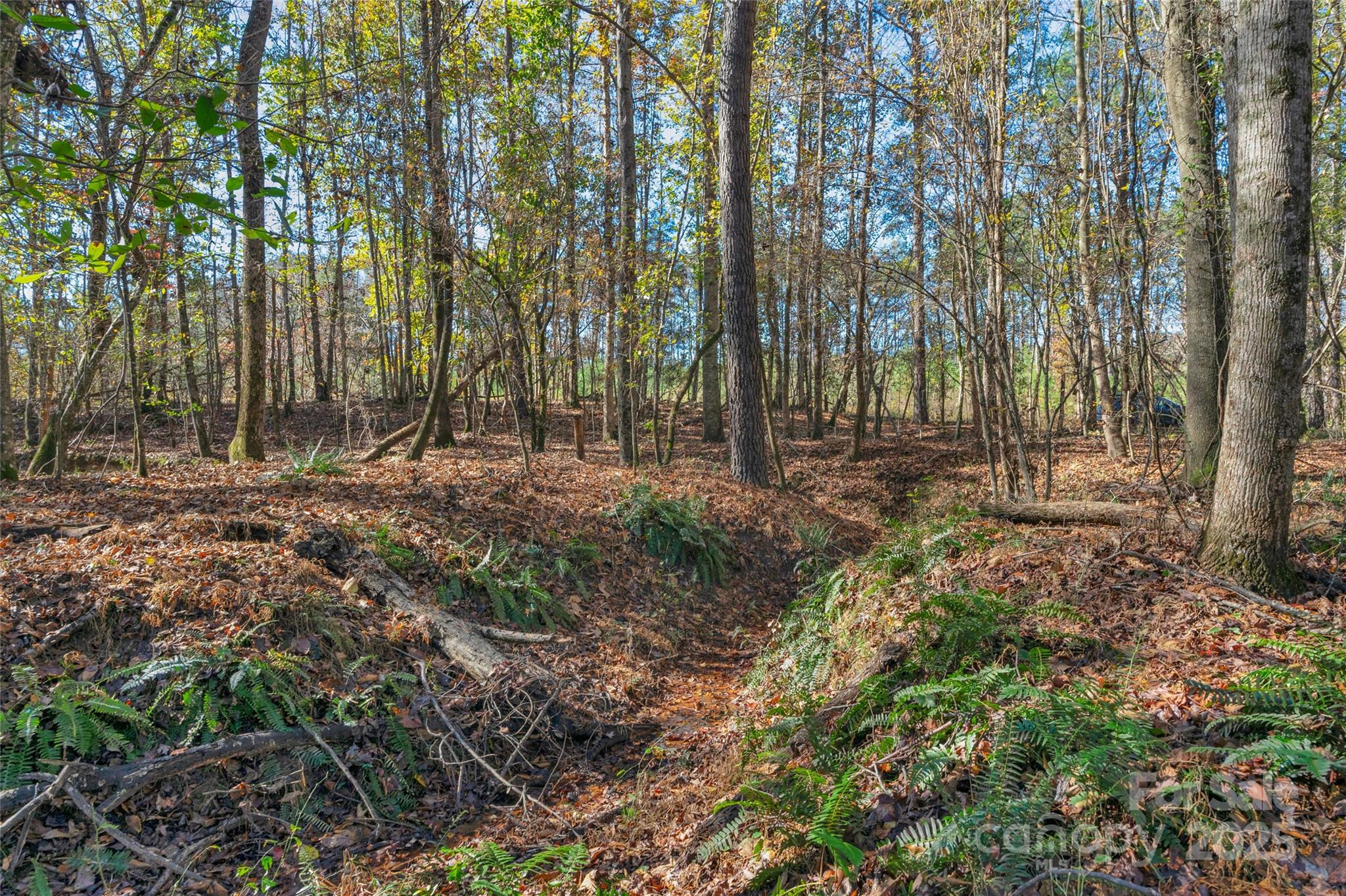 0000 Beaker Road 9 Property Photo 16