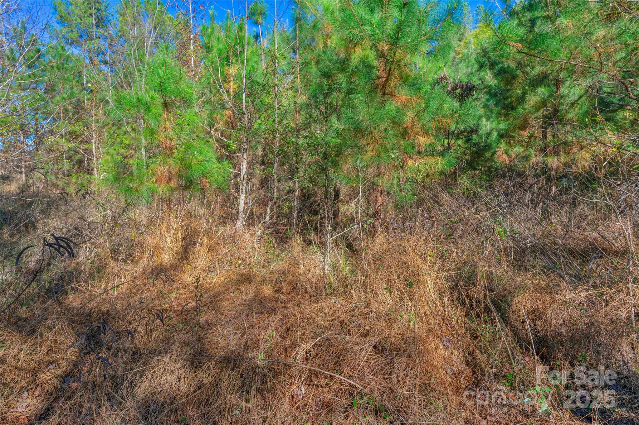 0000 Beaker Road 9 Property Photo 17