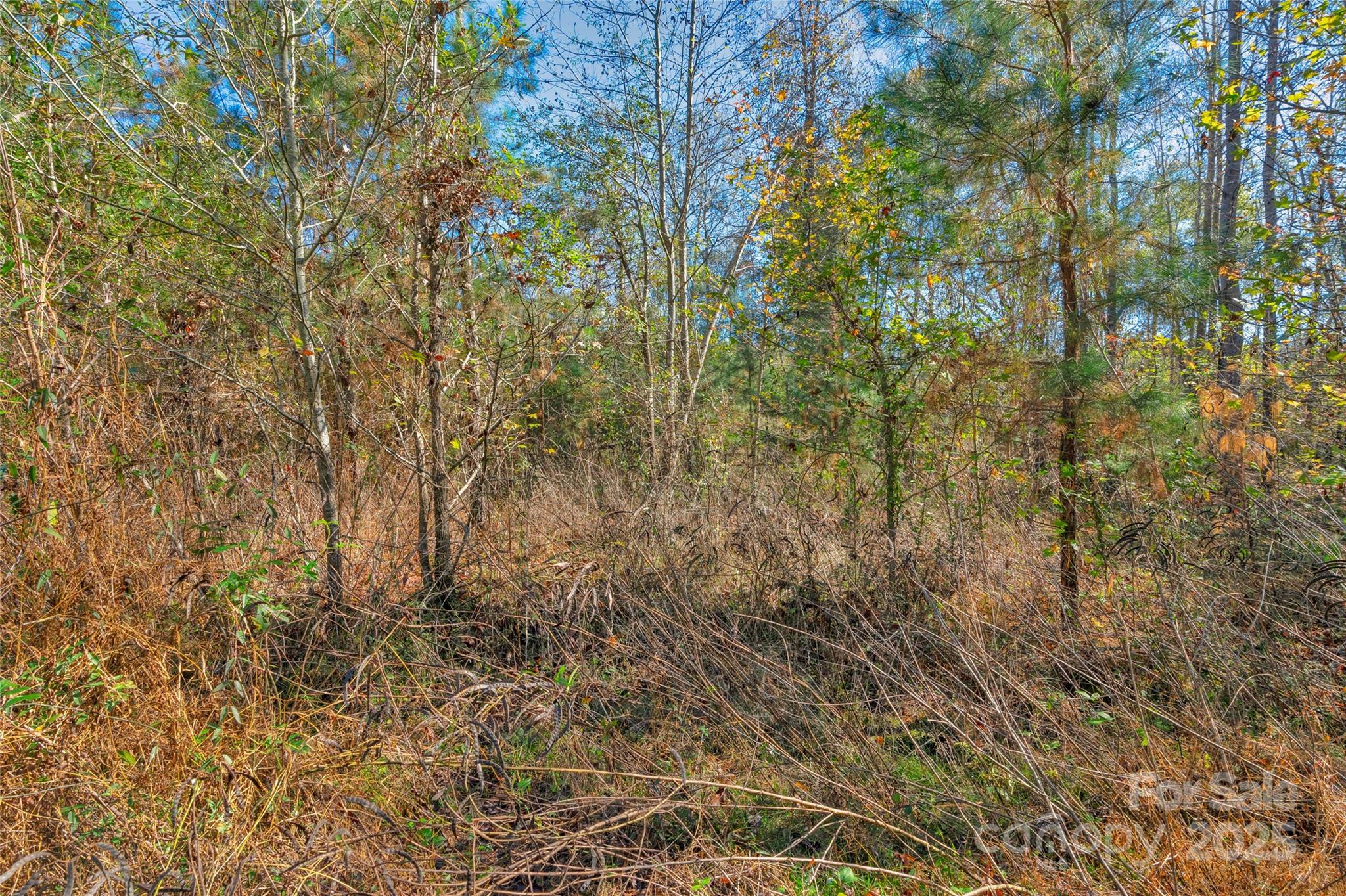 0000 Beaker Road 9 Property Photo 18