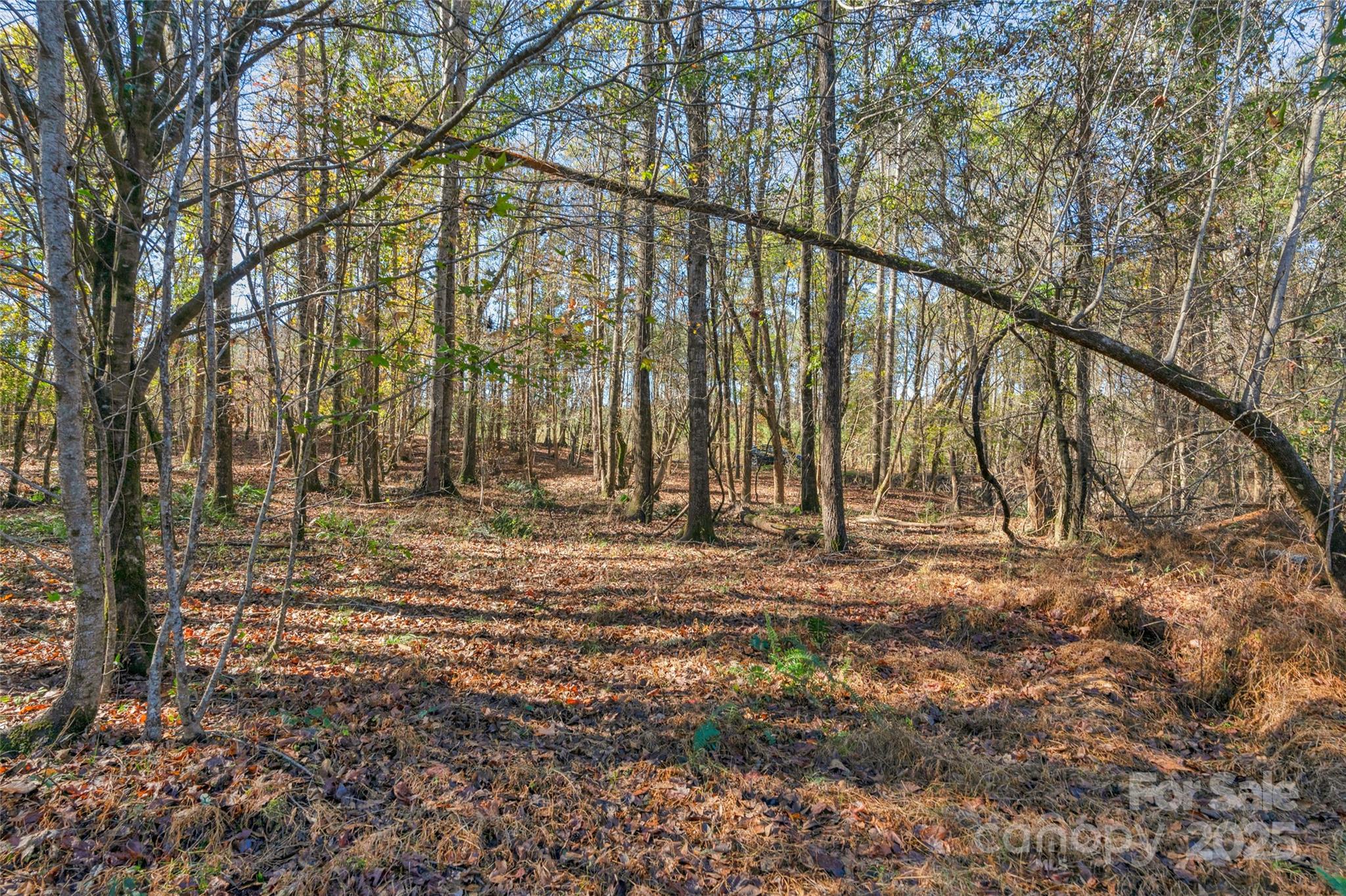 0000 Beaker Road 9 Property Photo 19