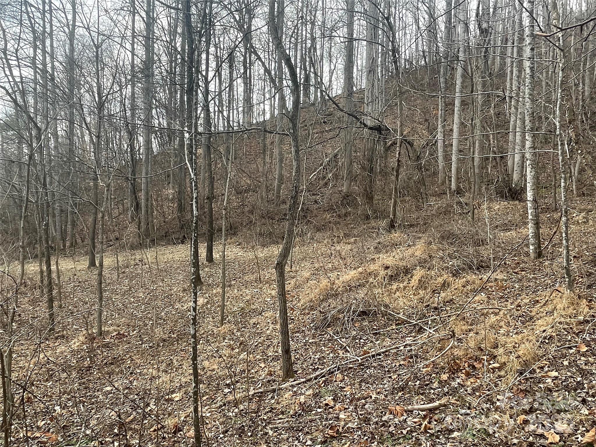 000 Martins Creek Road Property Photo