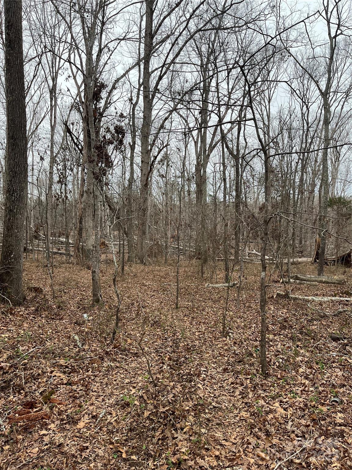 417 Davis Road Property Photo 1