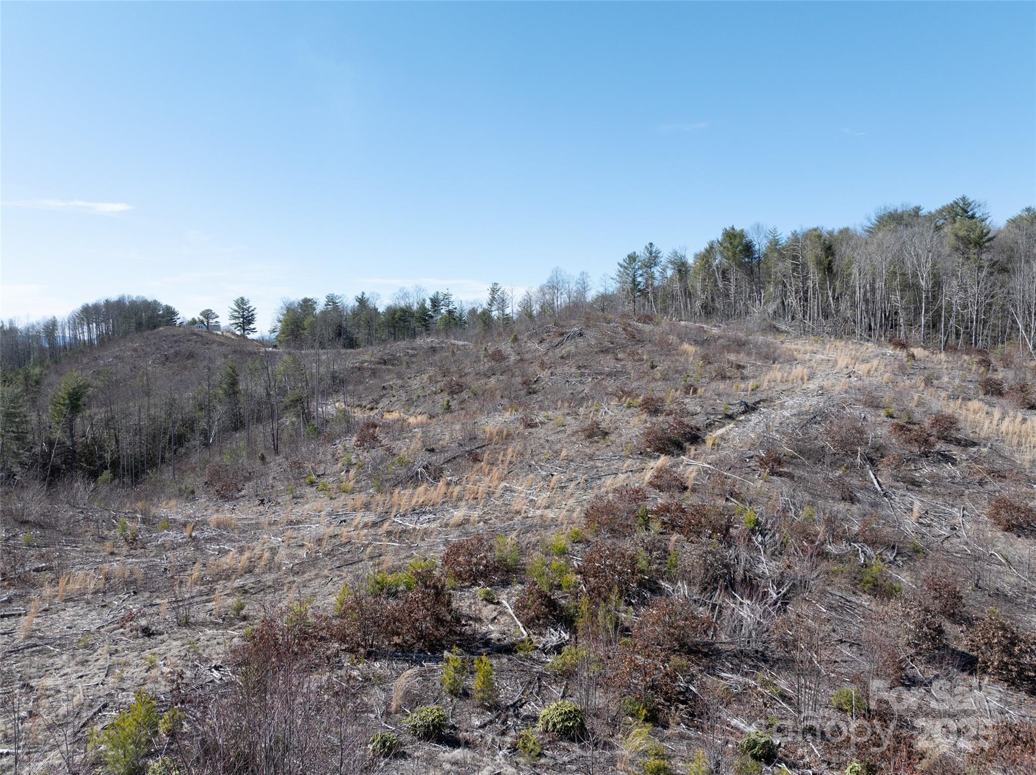 9999 Star Point Drive Property Photo 15