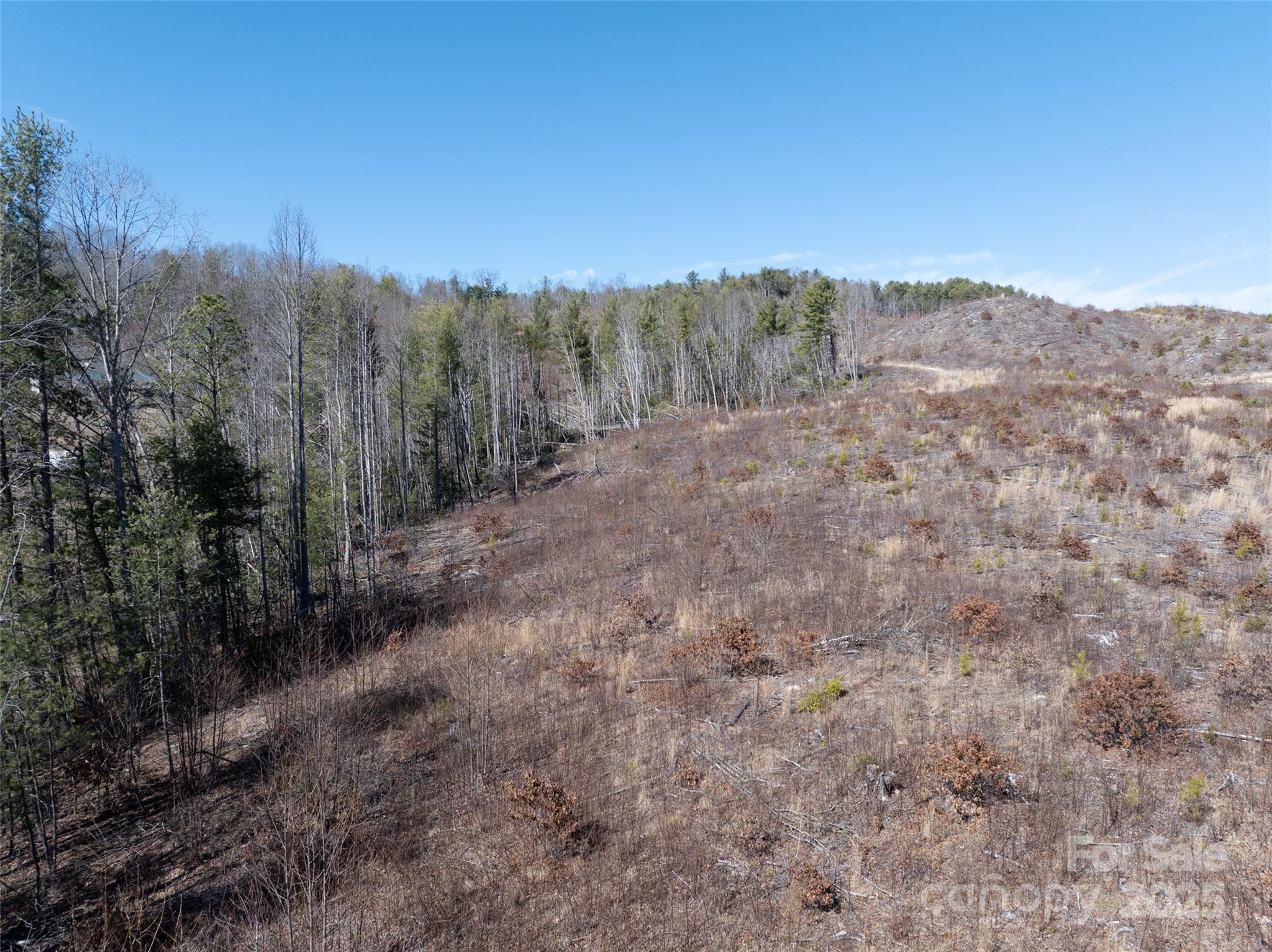 9999 Star Point Drive Property Photo 21