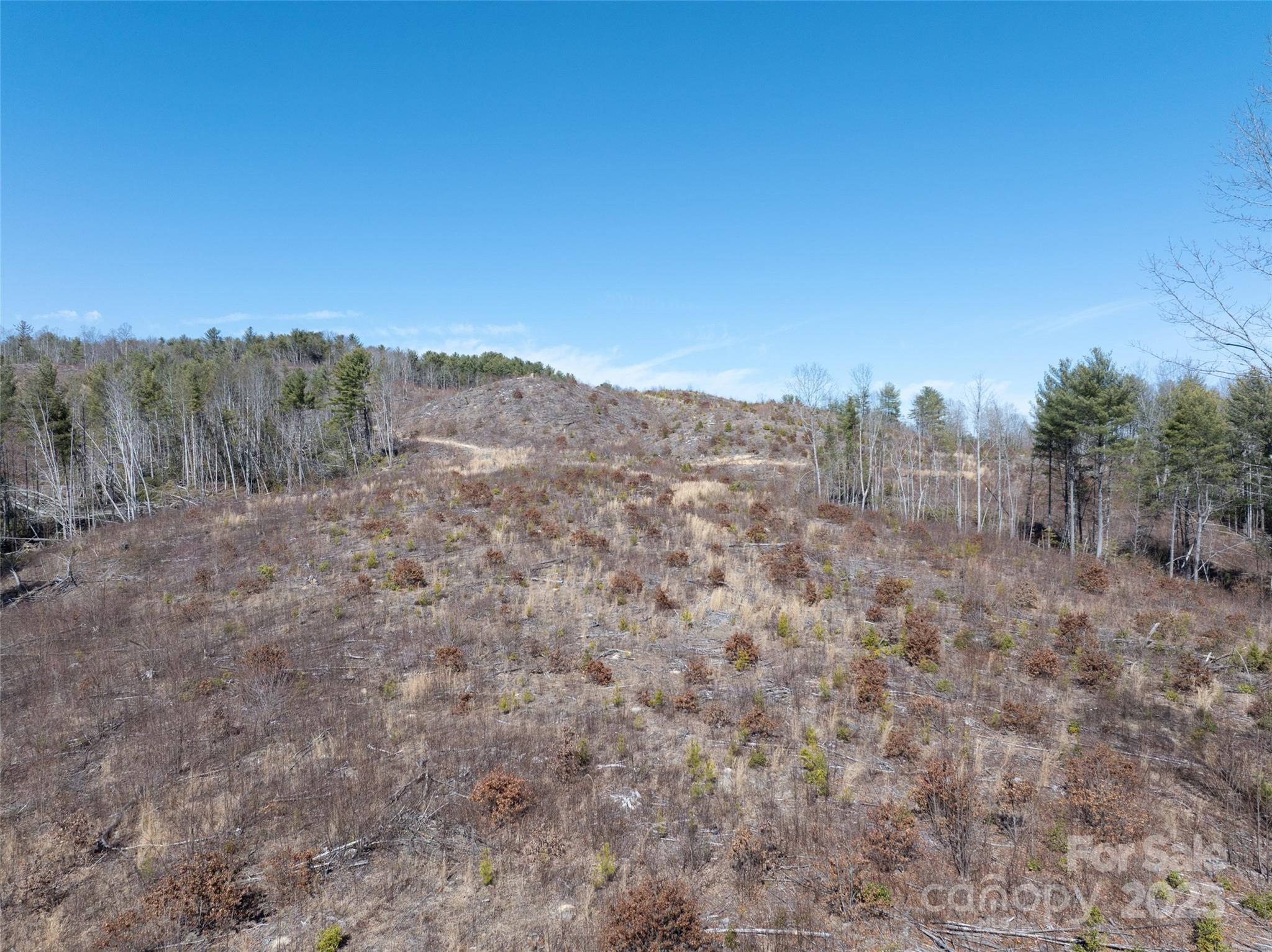 9999 Star Point Drive Property Photo 22