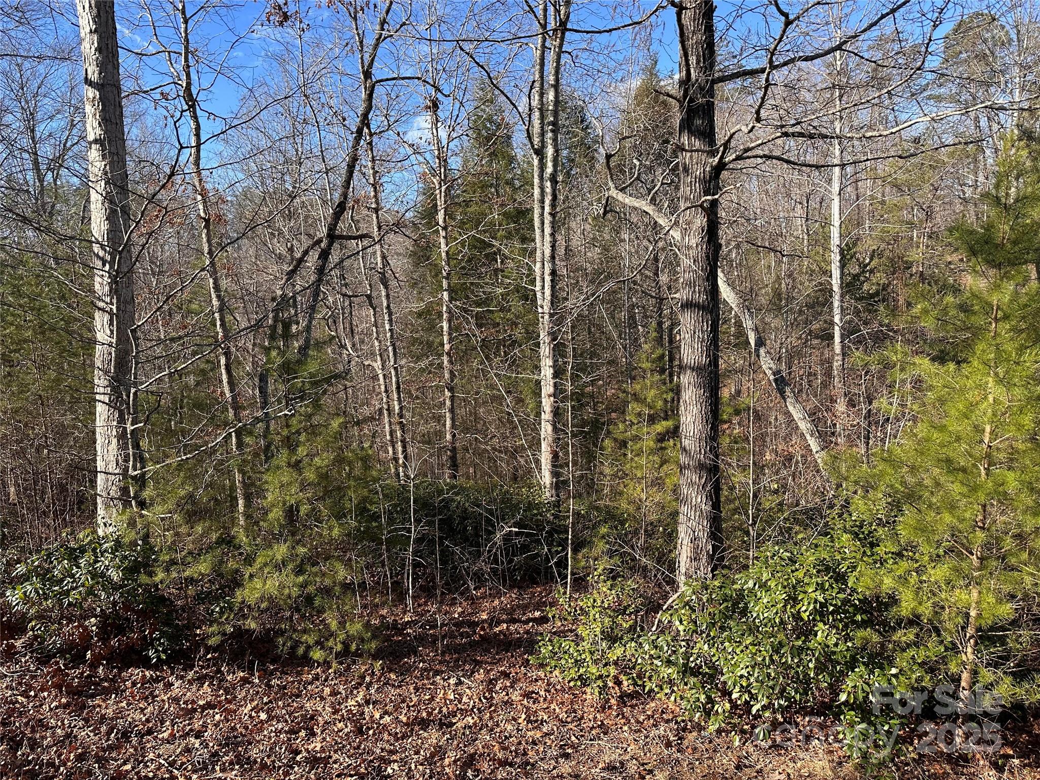 0 Rock Ledge Drive Property Photo