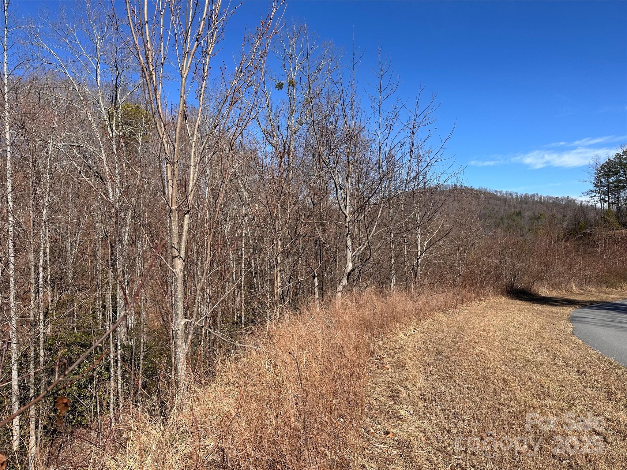 0 Winding Ridge 158 Property Photo