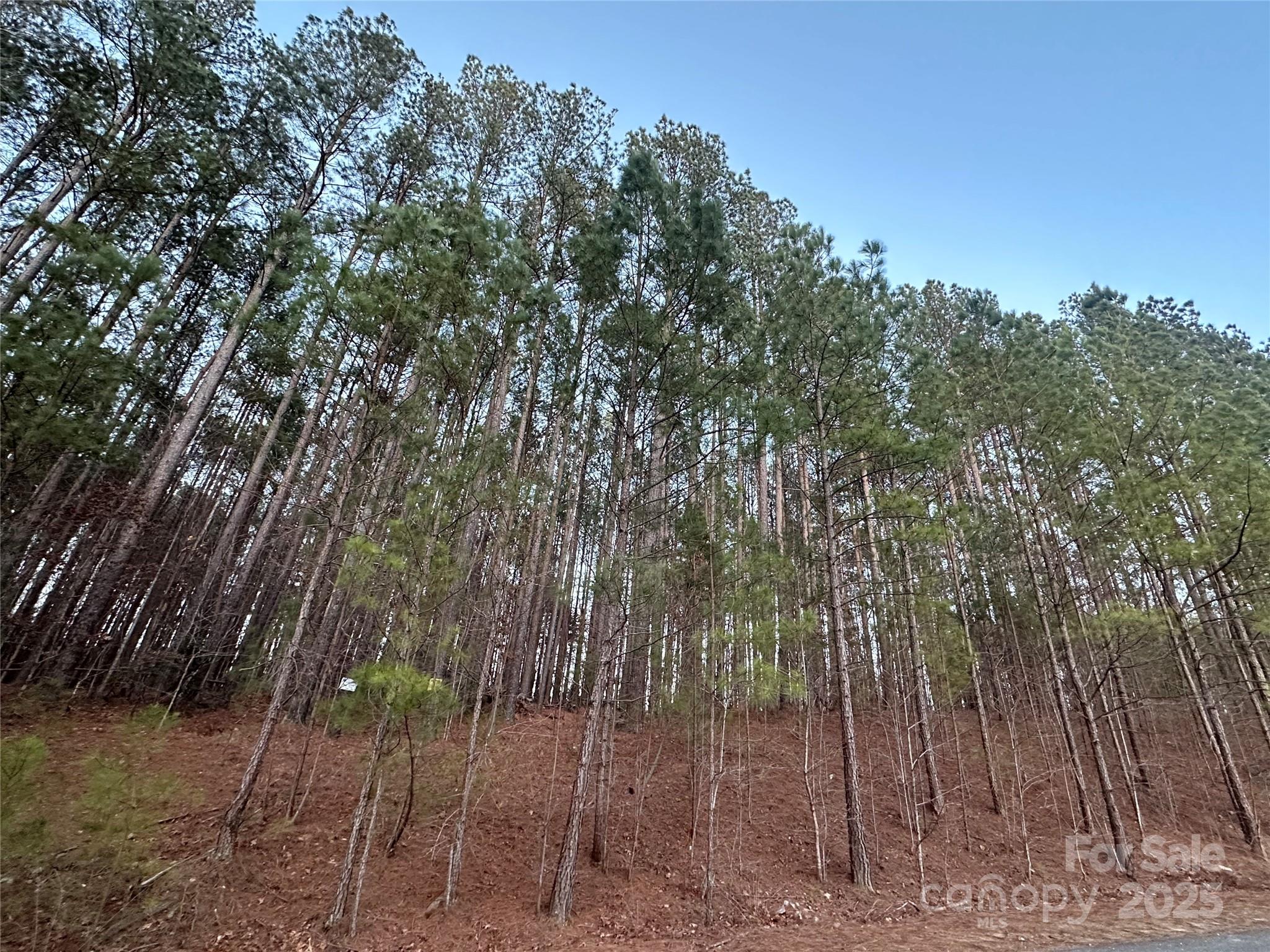 193 Windingwood Drive Property Photo 2