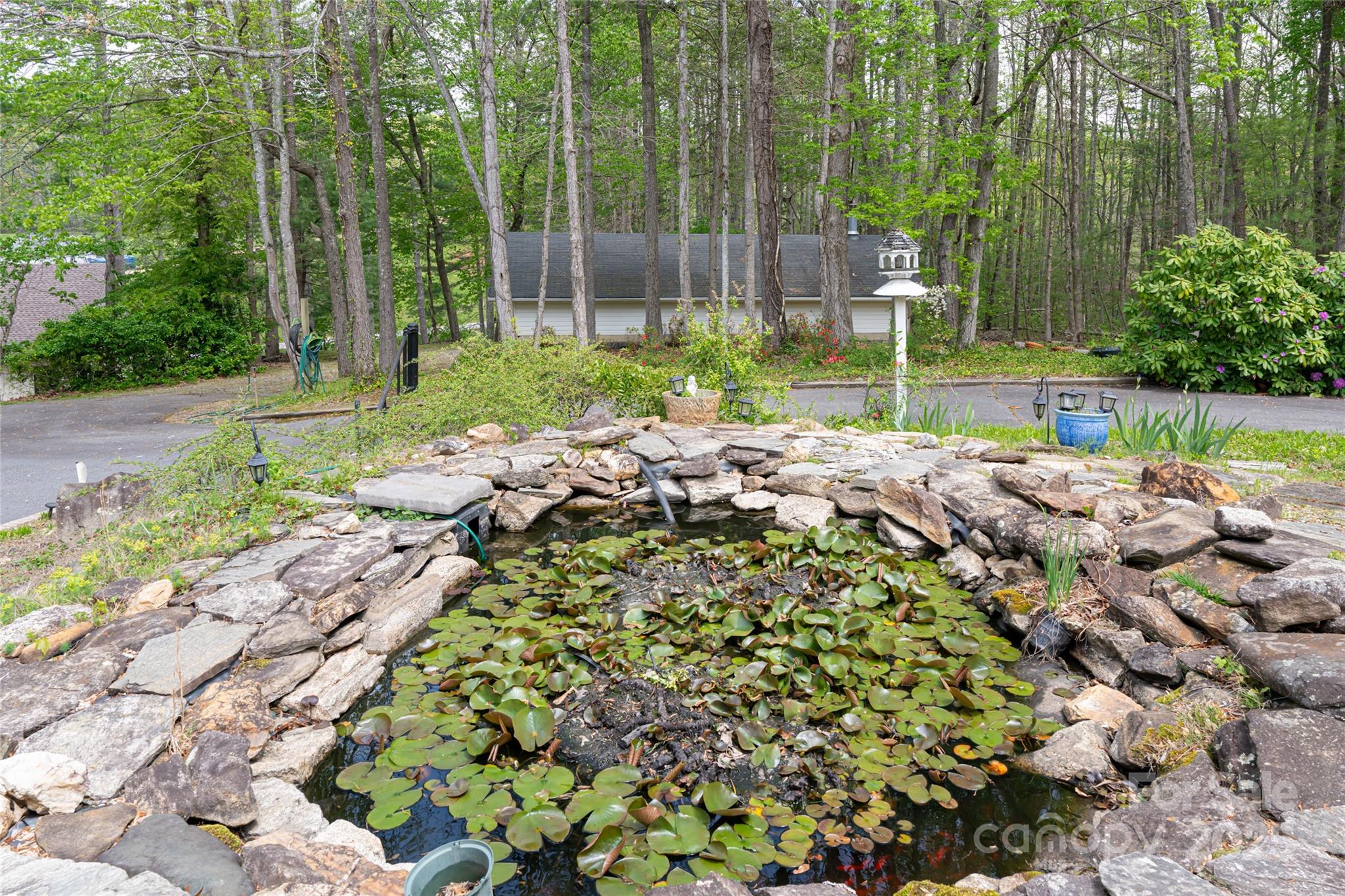 433 Old Leicester Highway Property Photo 8