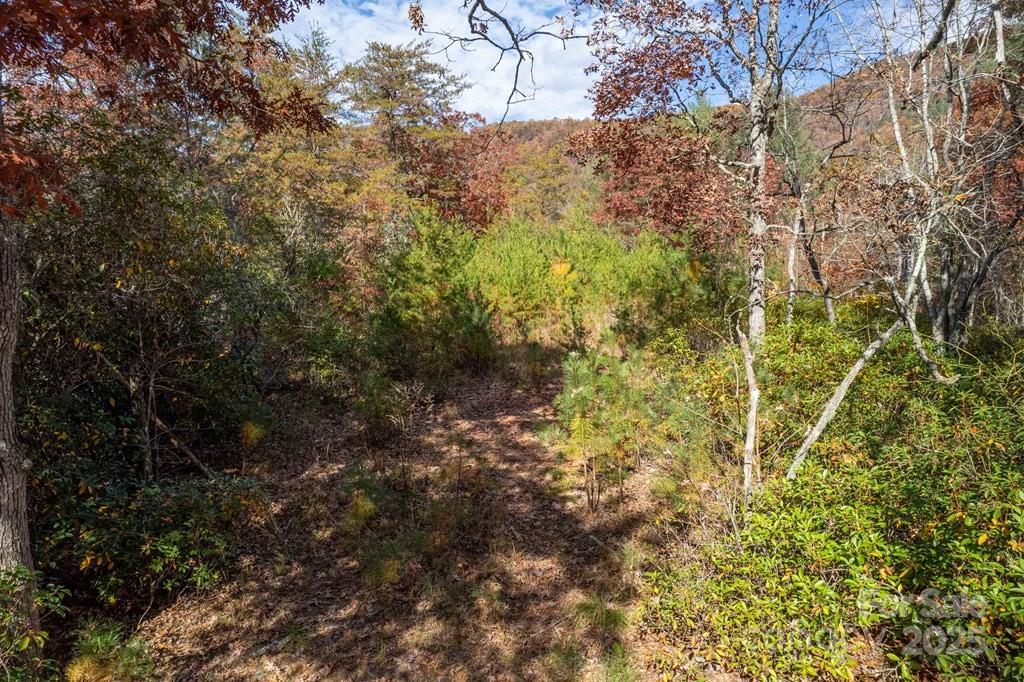 181 Lavender Way 34a Property Photo 11