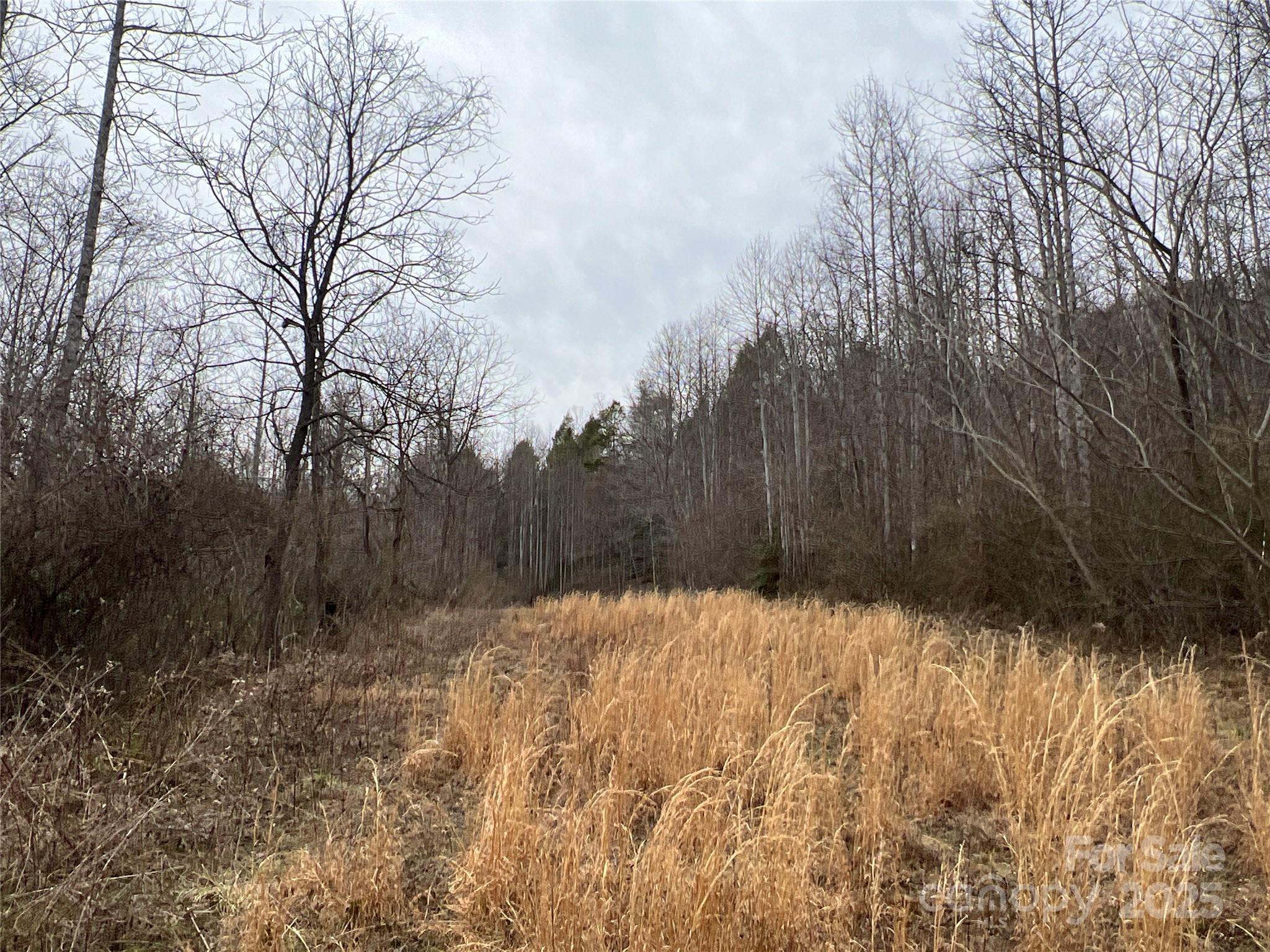 00 Collettsville Road 16 Property Photo 7