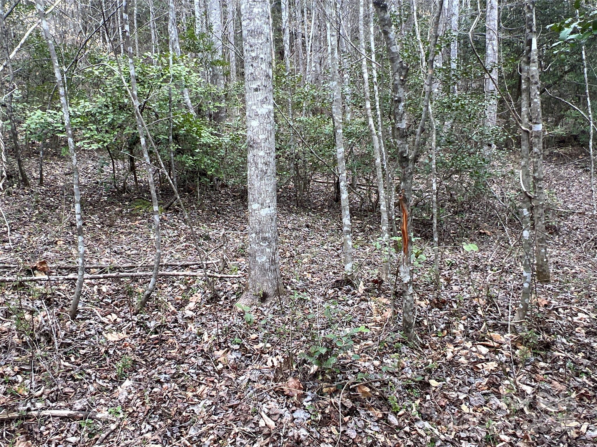 00 Collettsville Road 16 Property Photo 8