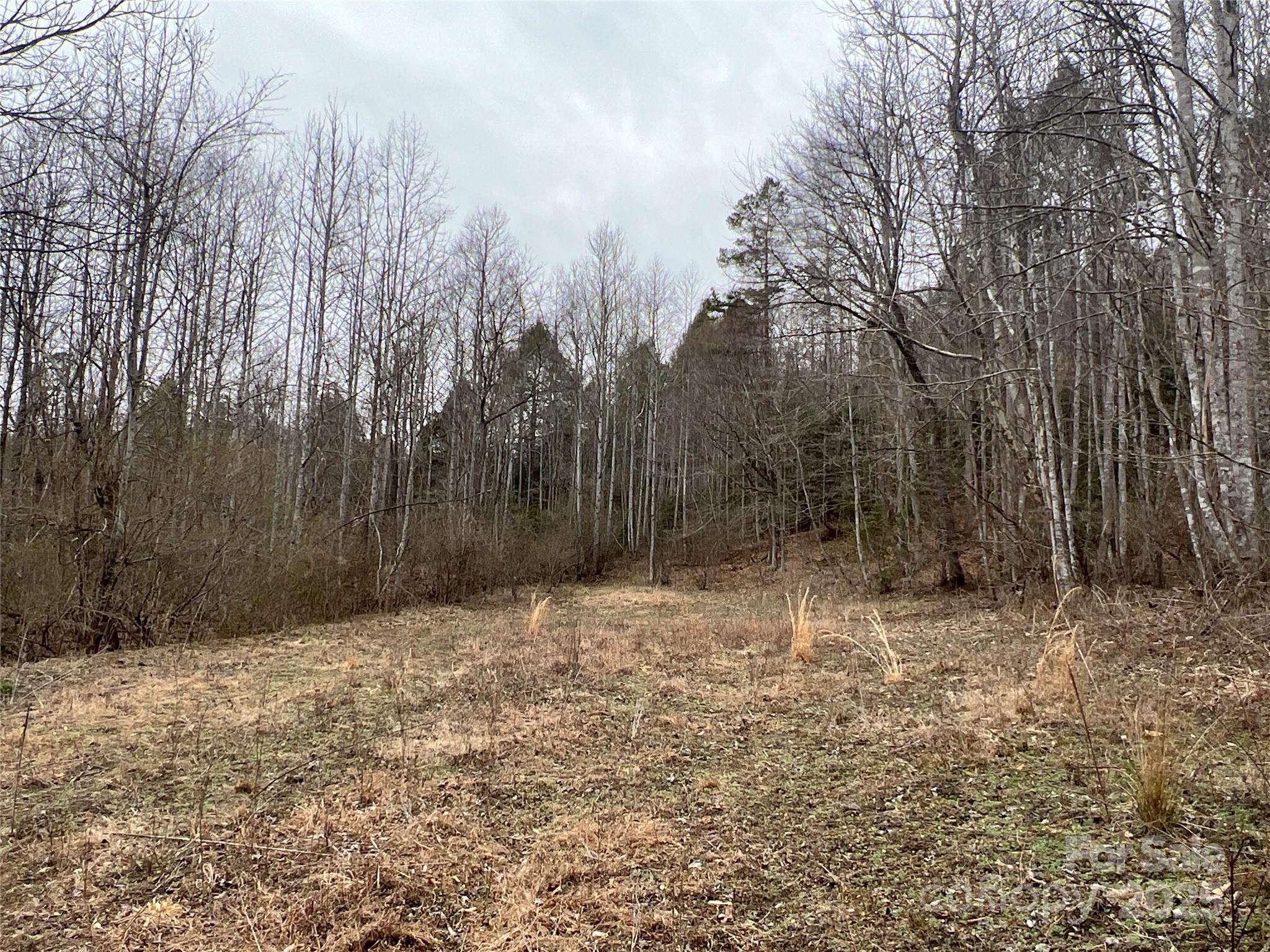 00 Collettsville Road 16 Property Photo 9