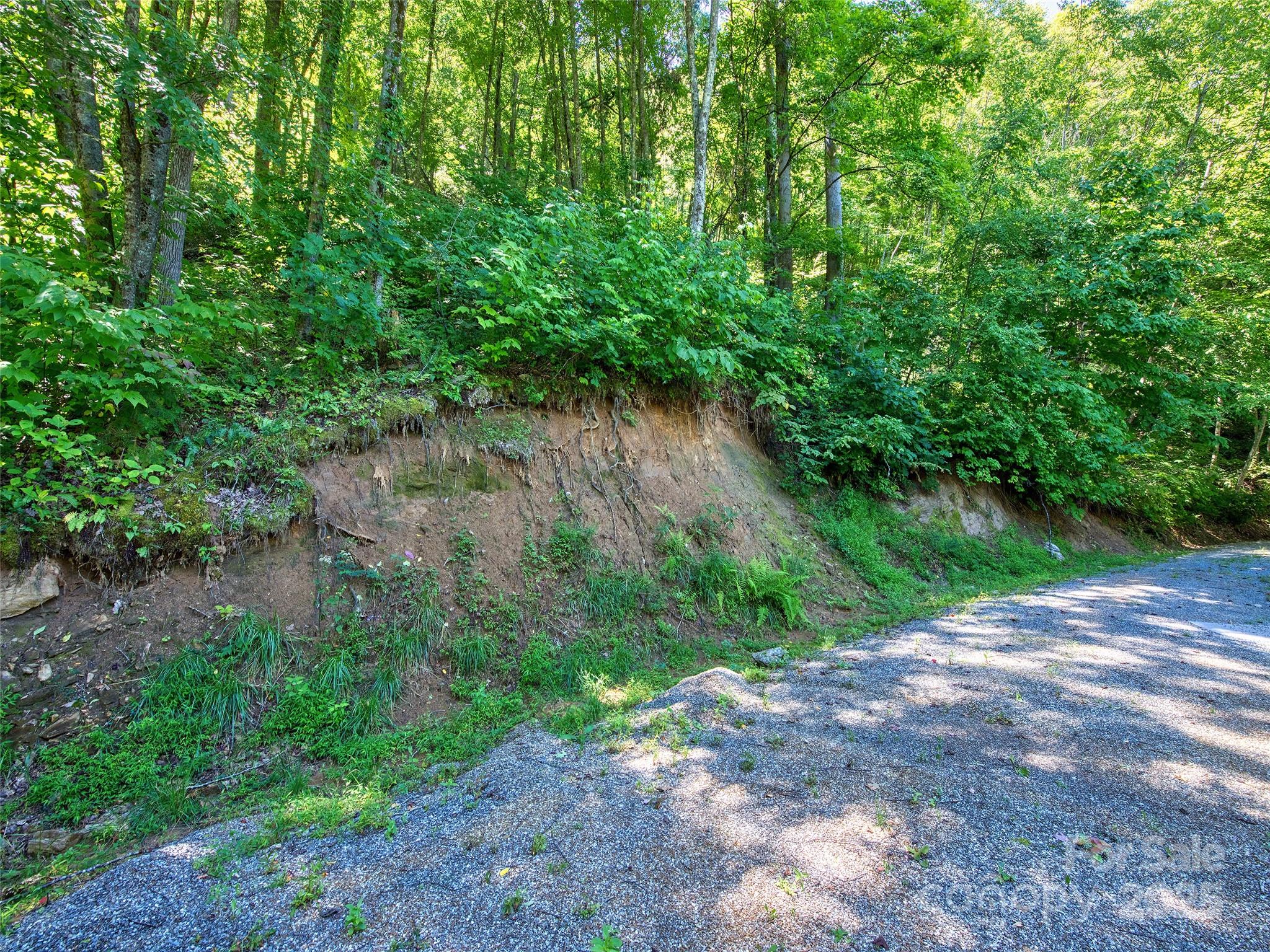 00 Yellow Locust Drive Property Photo 2