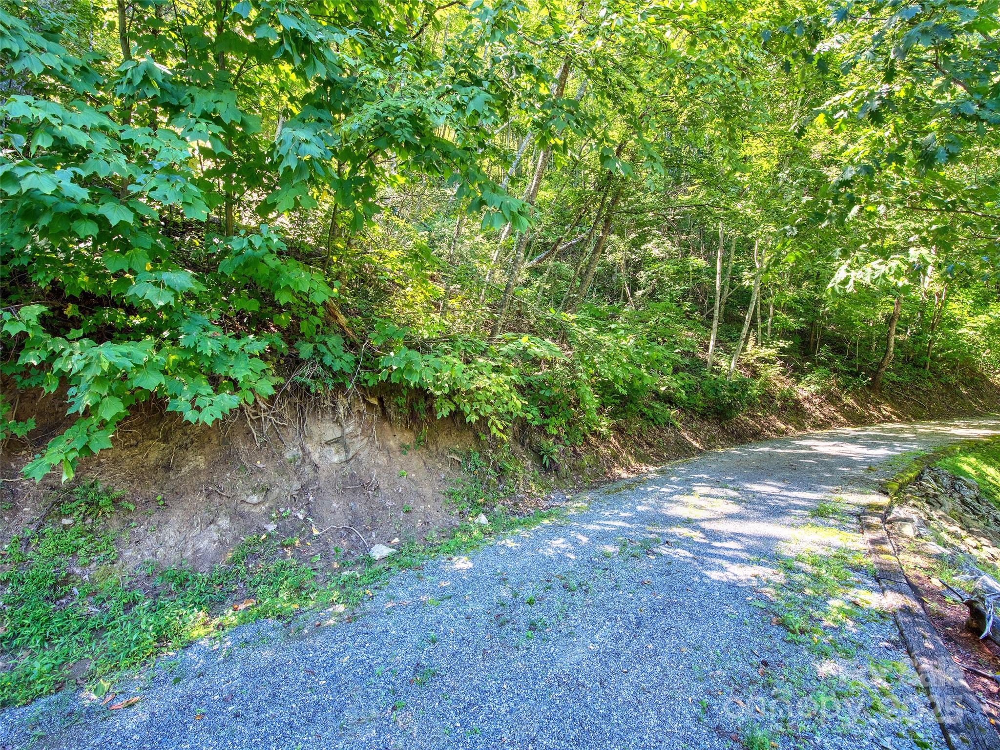 00 Yellow Locust Drive Property Photo 3