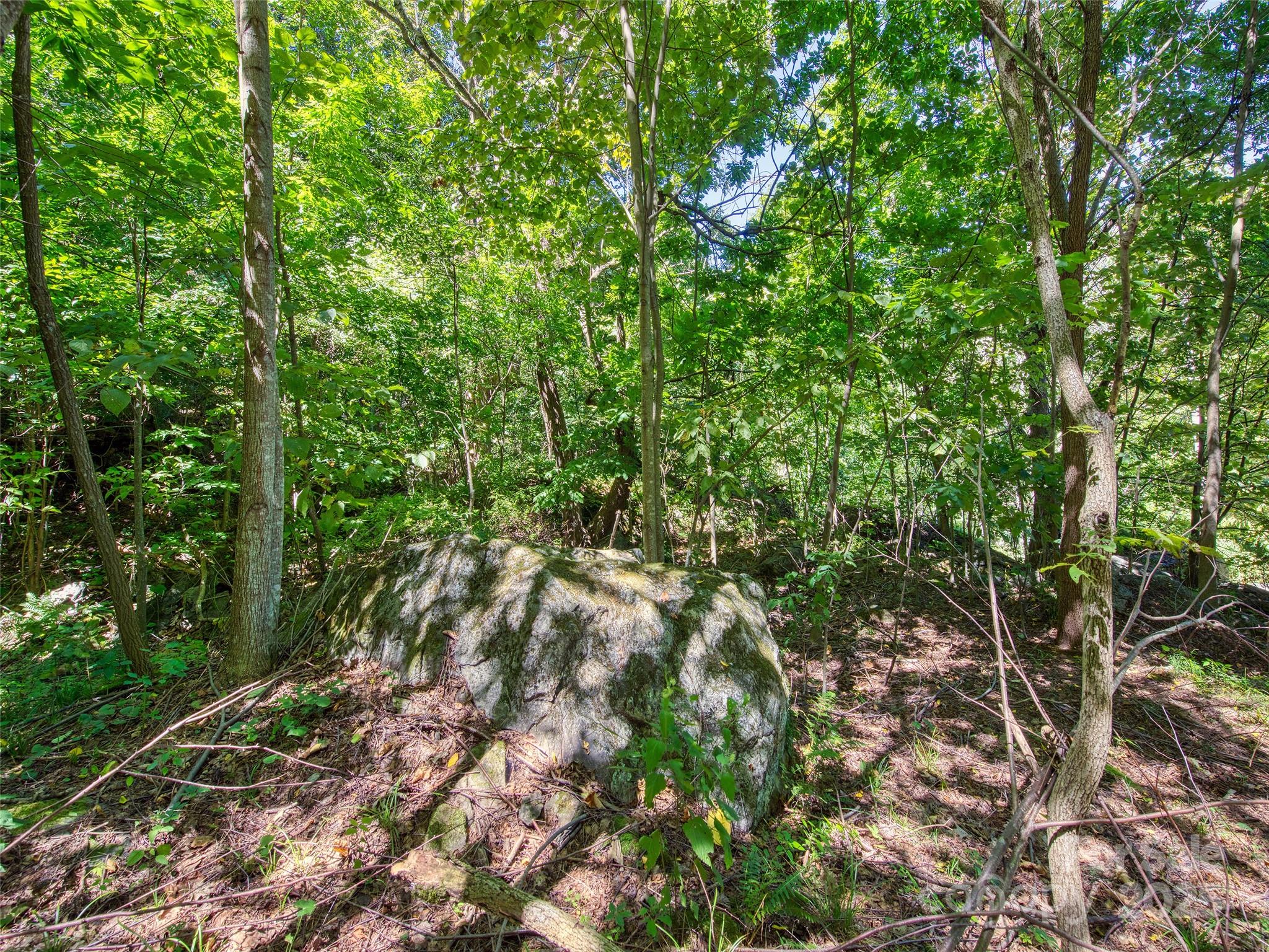 00 Yellow Locust Drive Property Photo 8