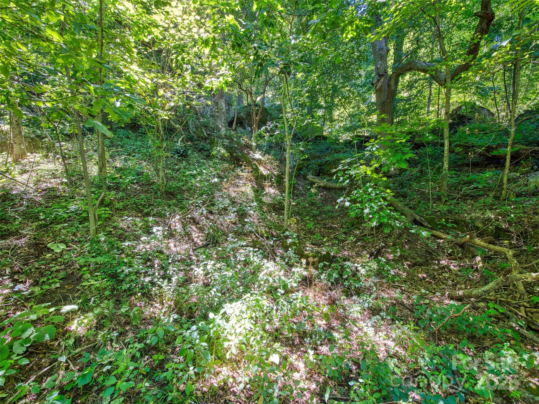 00 Yellow Locust Drive Property Photo 10