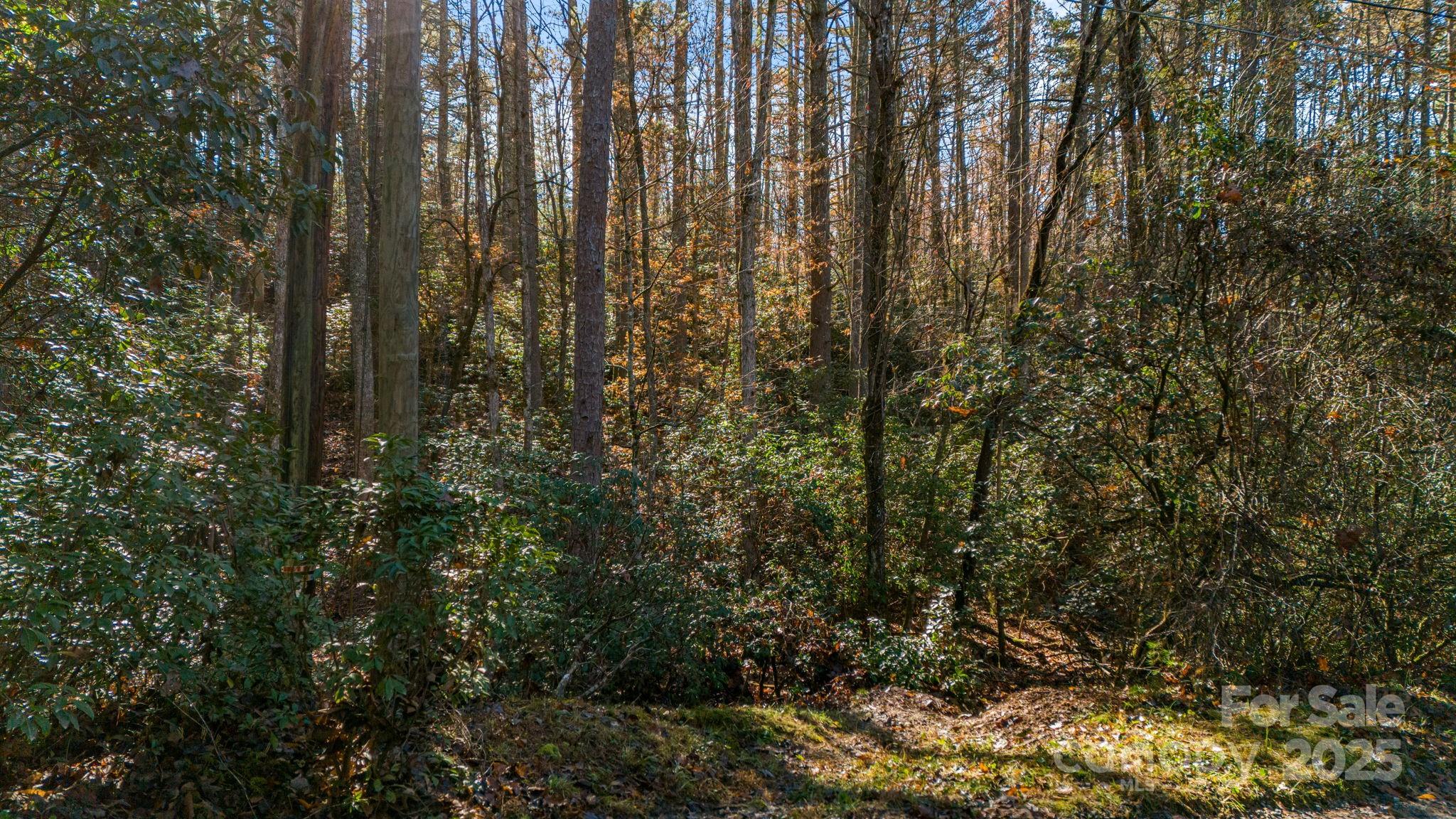 Tbd Breezewood Circle 17 & 18 Property Photo 9