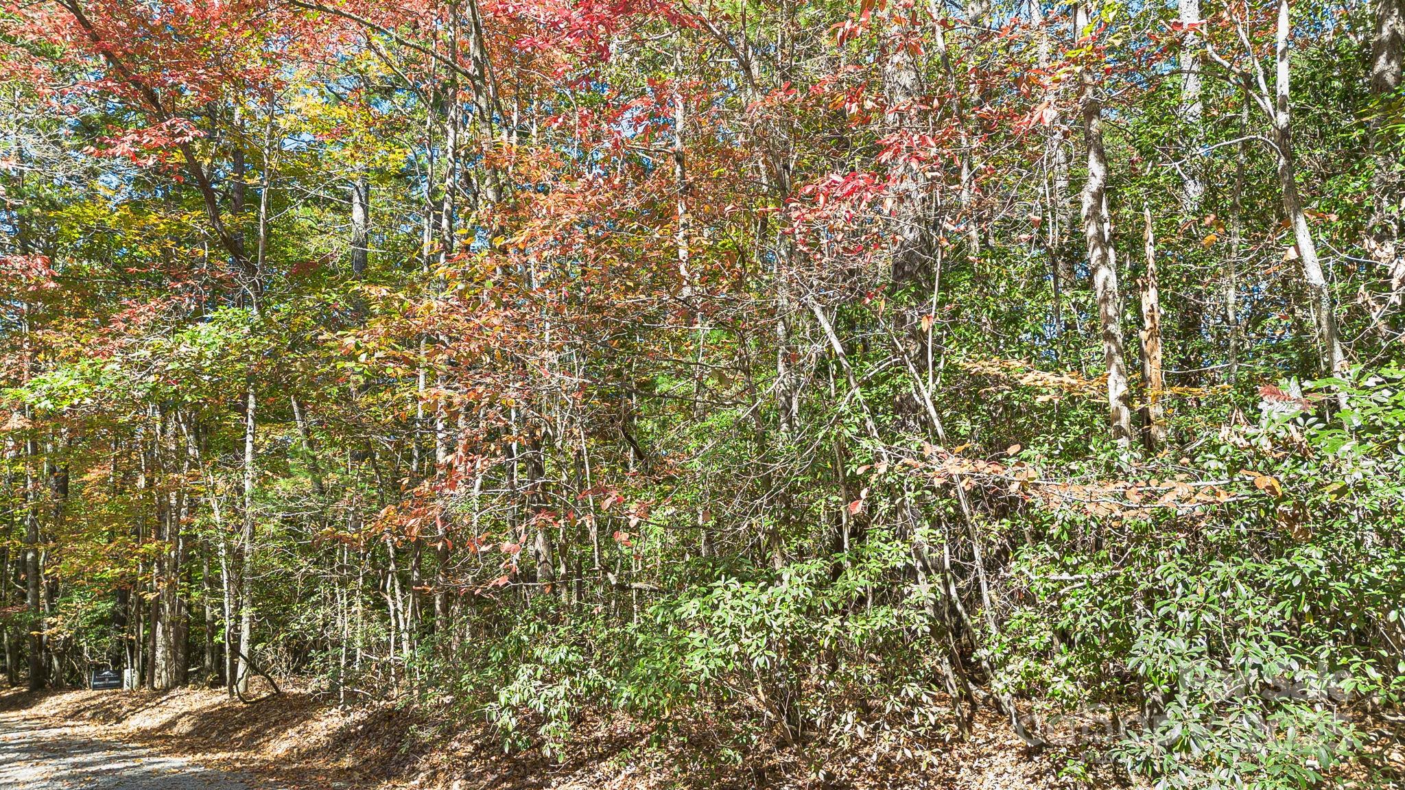 Tbd Breezewood Circle 17 & 18 Property Photo 10