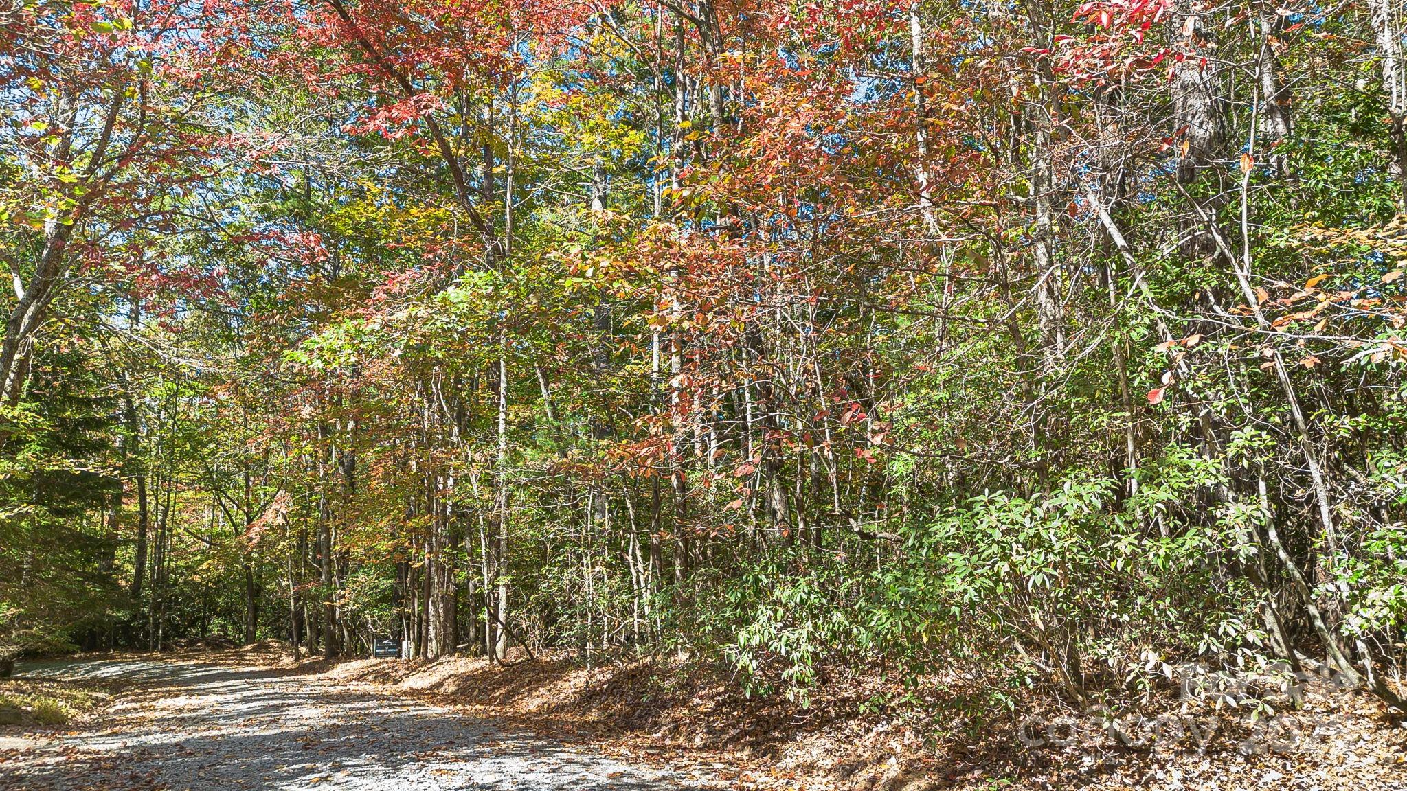 Tbd Breezewood Circle 17 & 18 Property Photo 11
