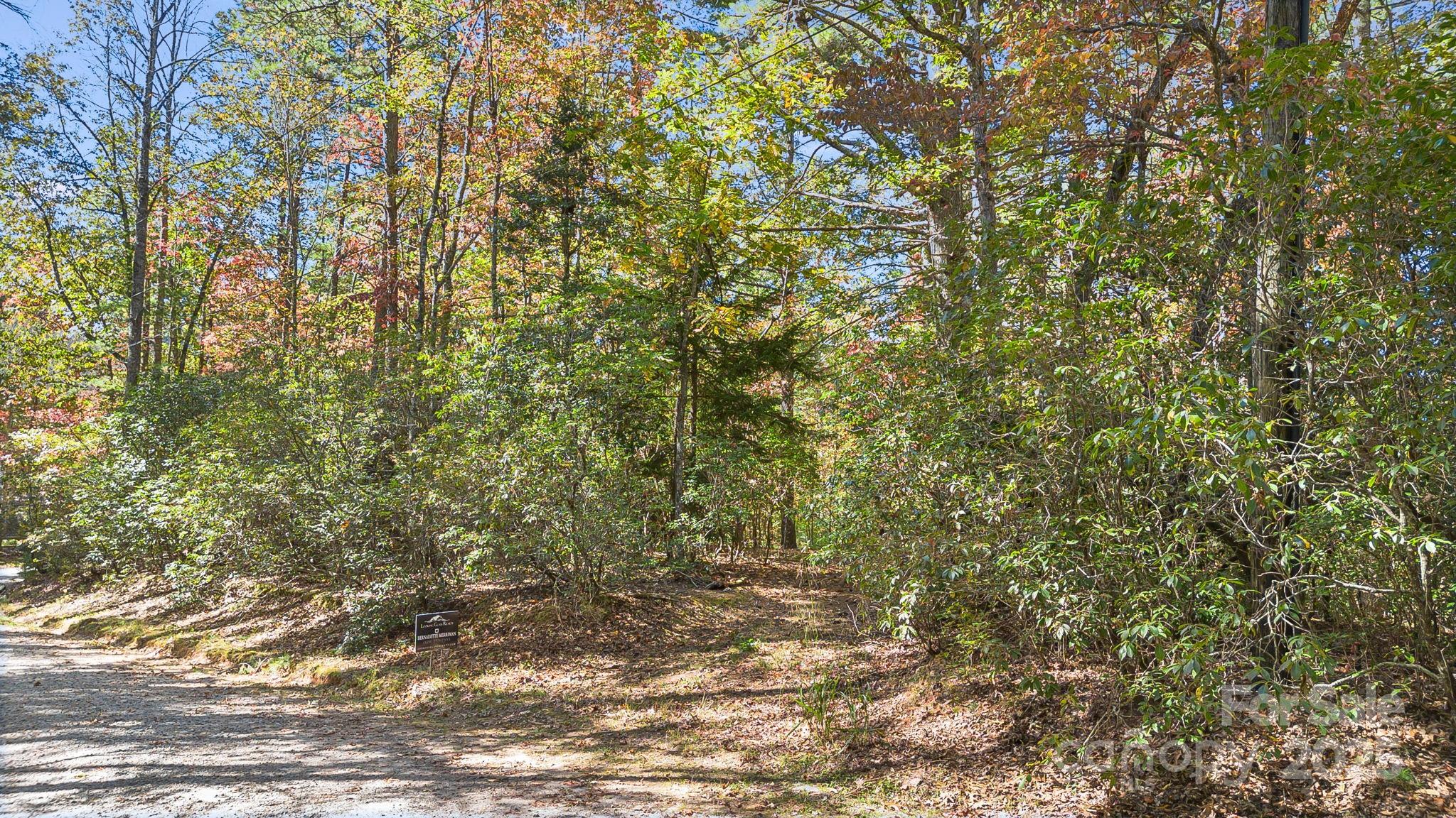 Tbd Breezewood Circle 17 & 18 Property Photo 14