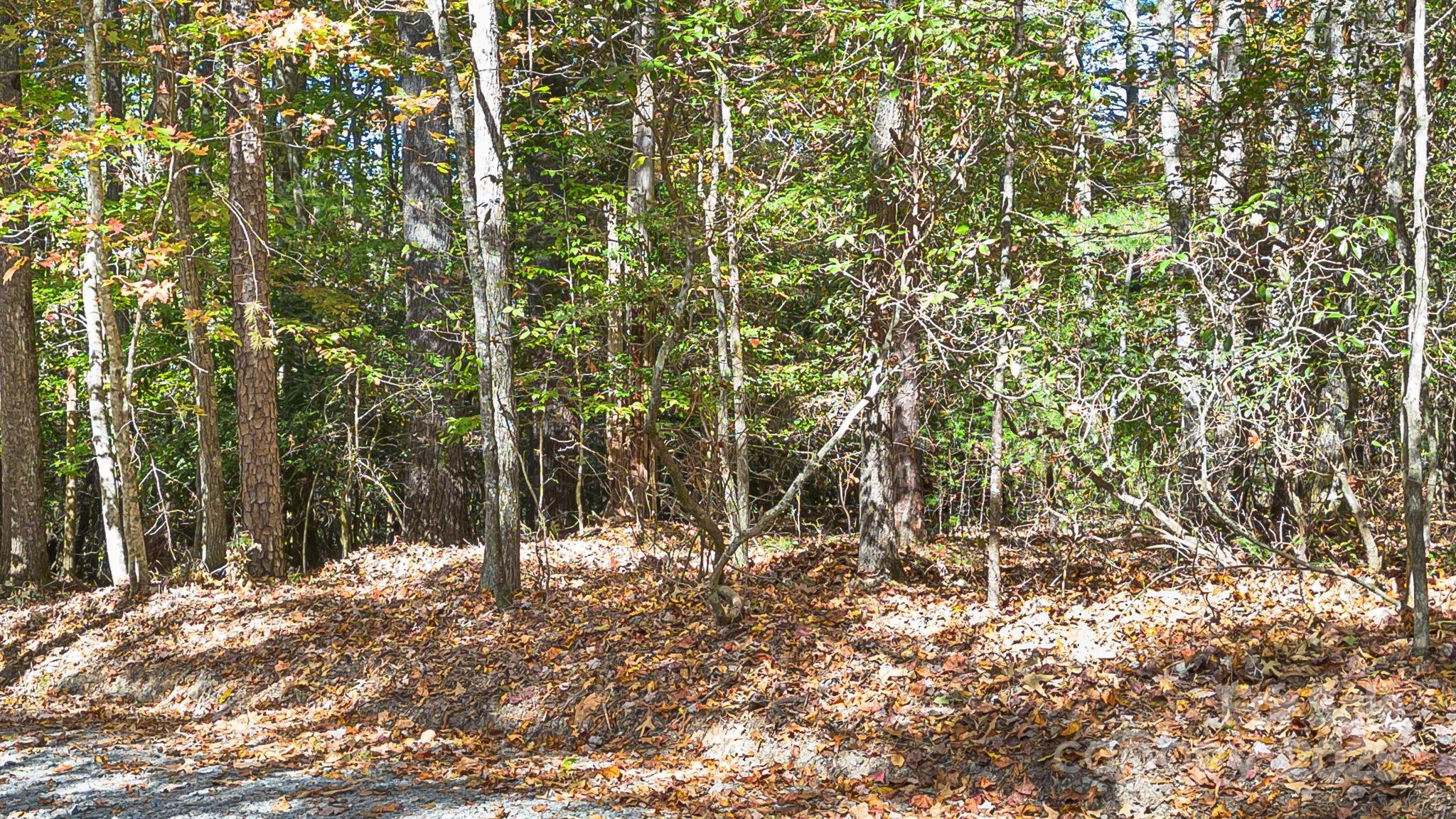 Tbd Breezewood Circle 17 & 18 Property Photo 15