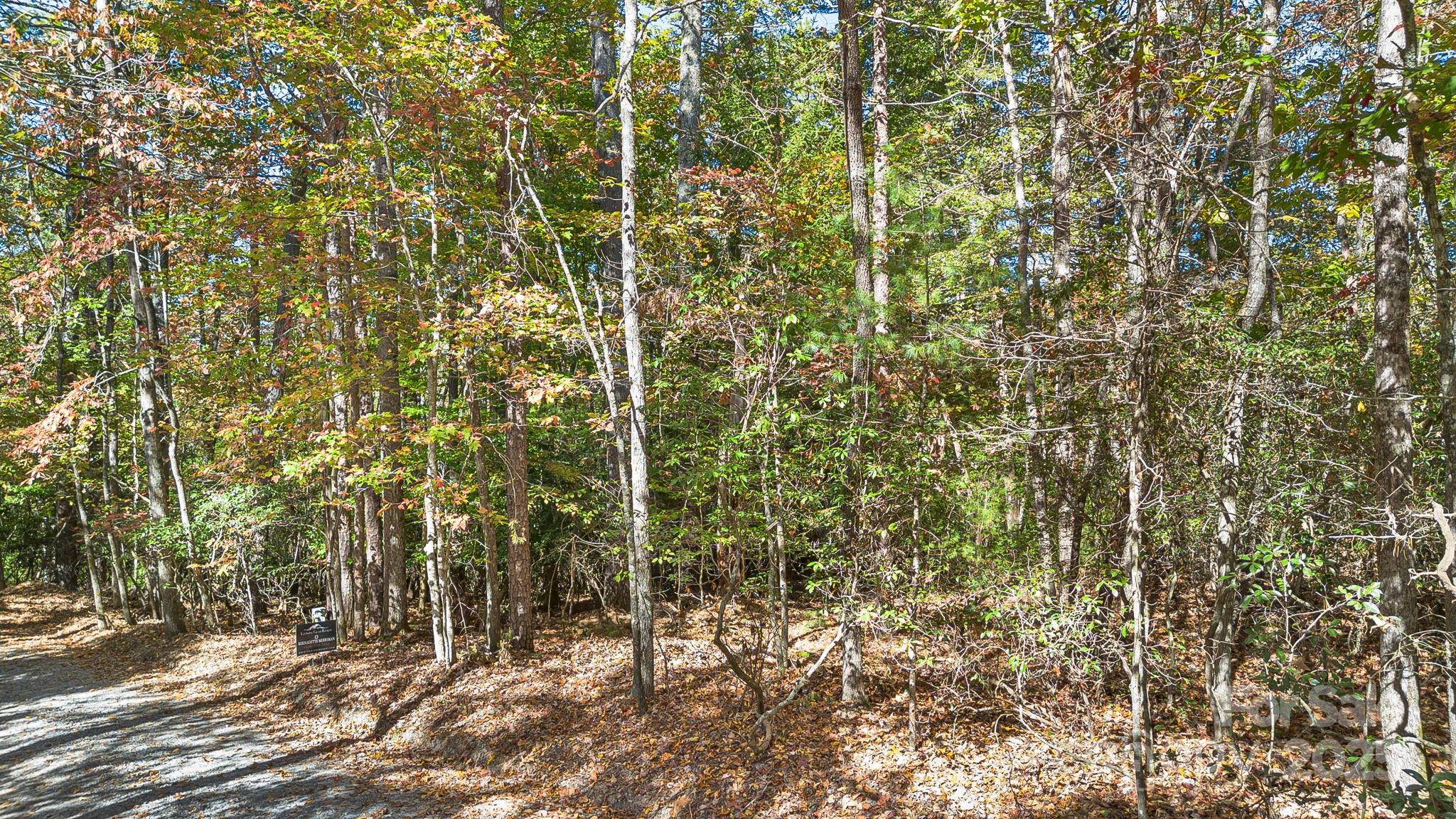 Tbd Breezewood Circle 17 & 18 Property Photo 19
