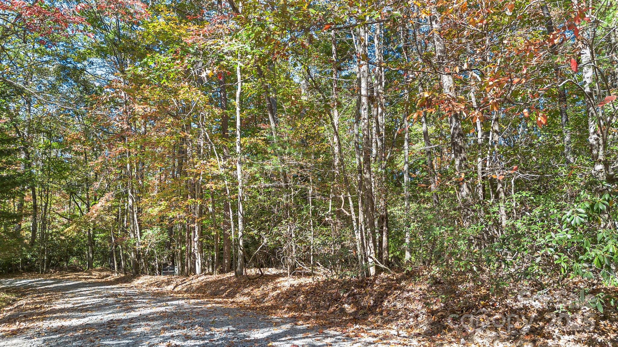 Tbd Breezewood Circle 17 & 18 Property Photo 20