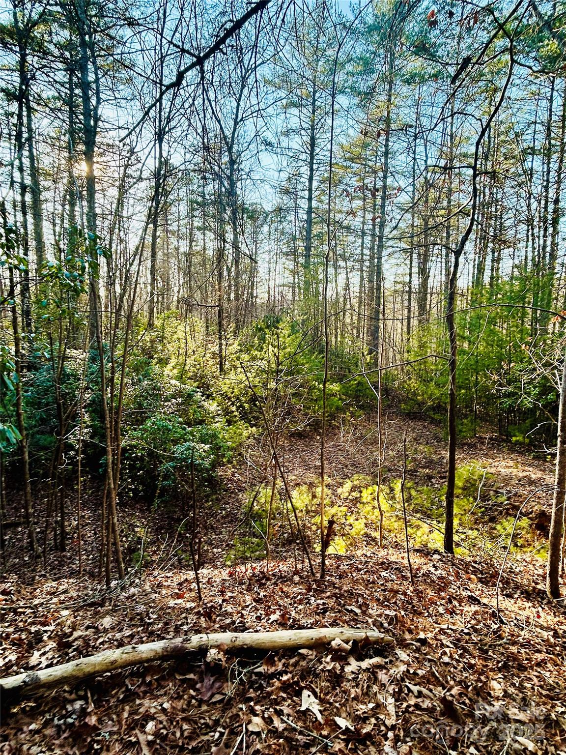Tbd Breezewood Circle 17 & 18 Property Photo 24