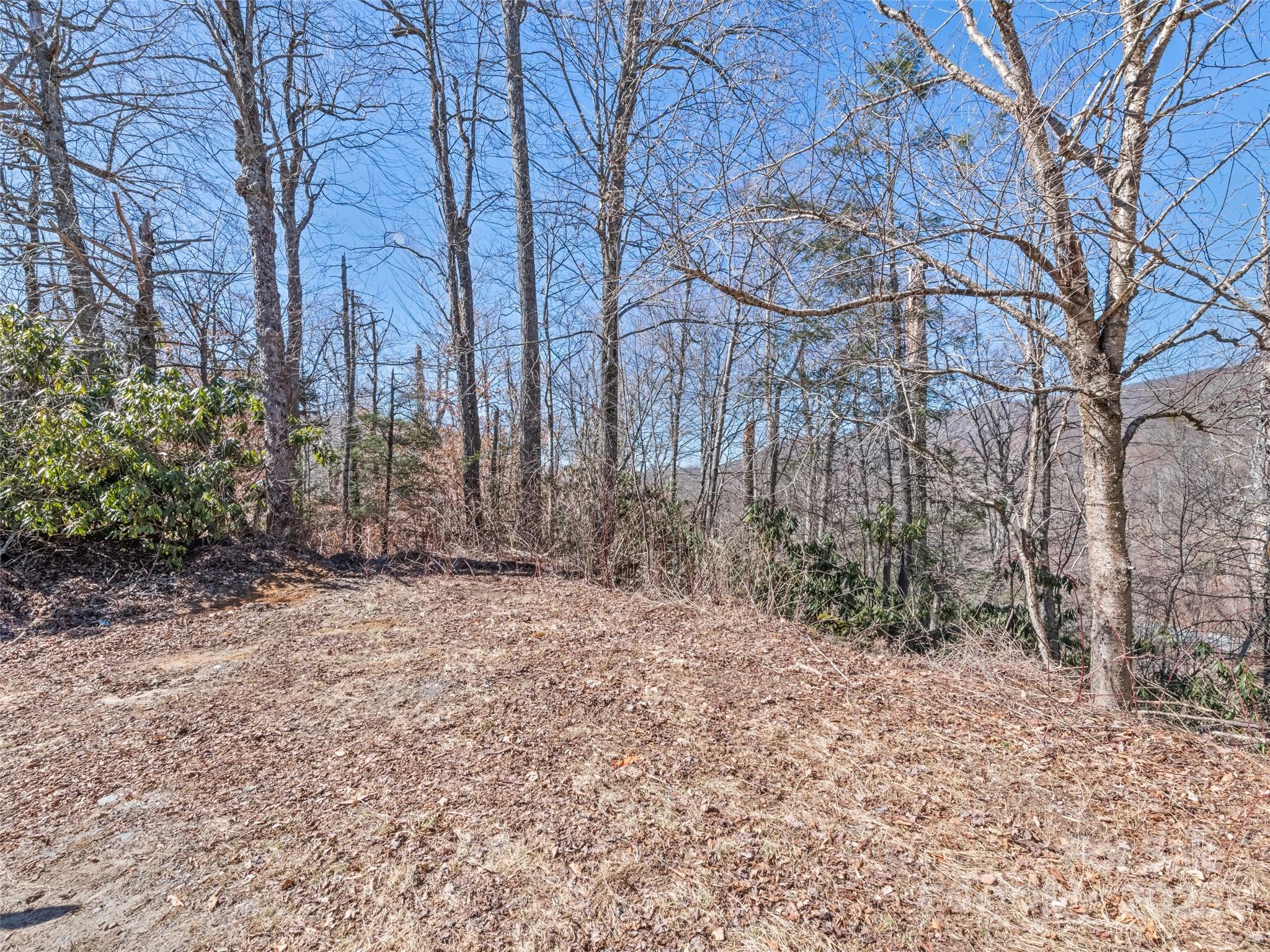 Lot 5 Spruce Flats Road Property Photo 8