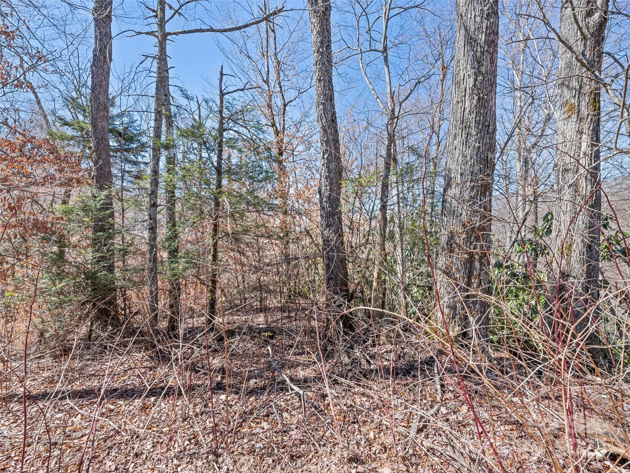 Lot 5 Spruce Flats Road Property Photo 10