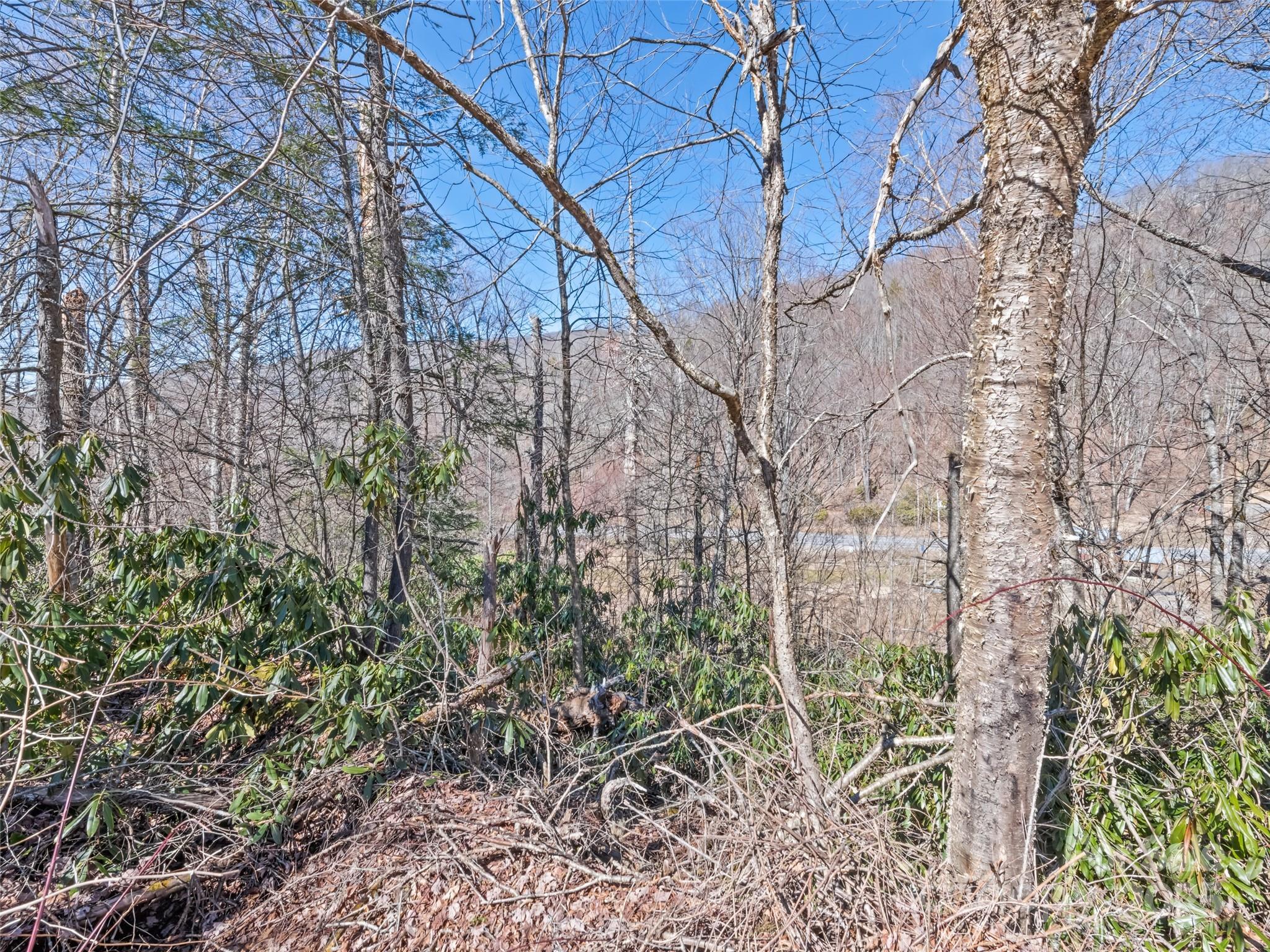 Lot 5 Spruce Flats Road Property Photo 11