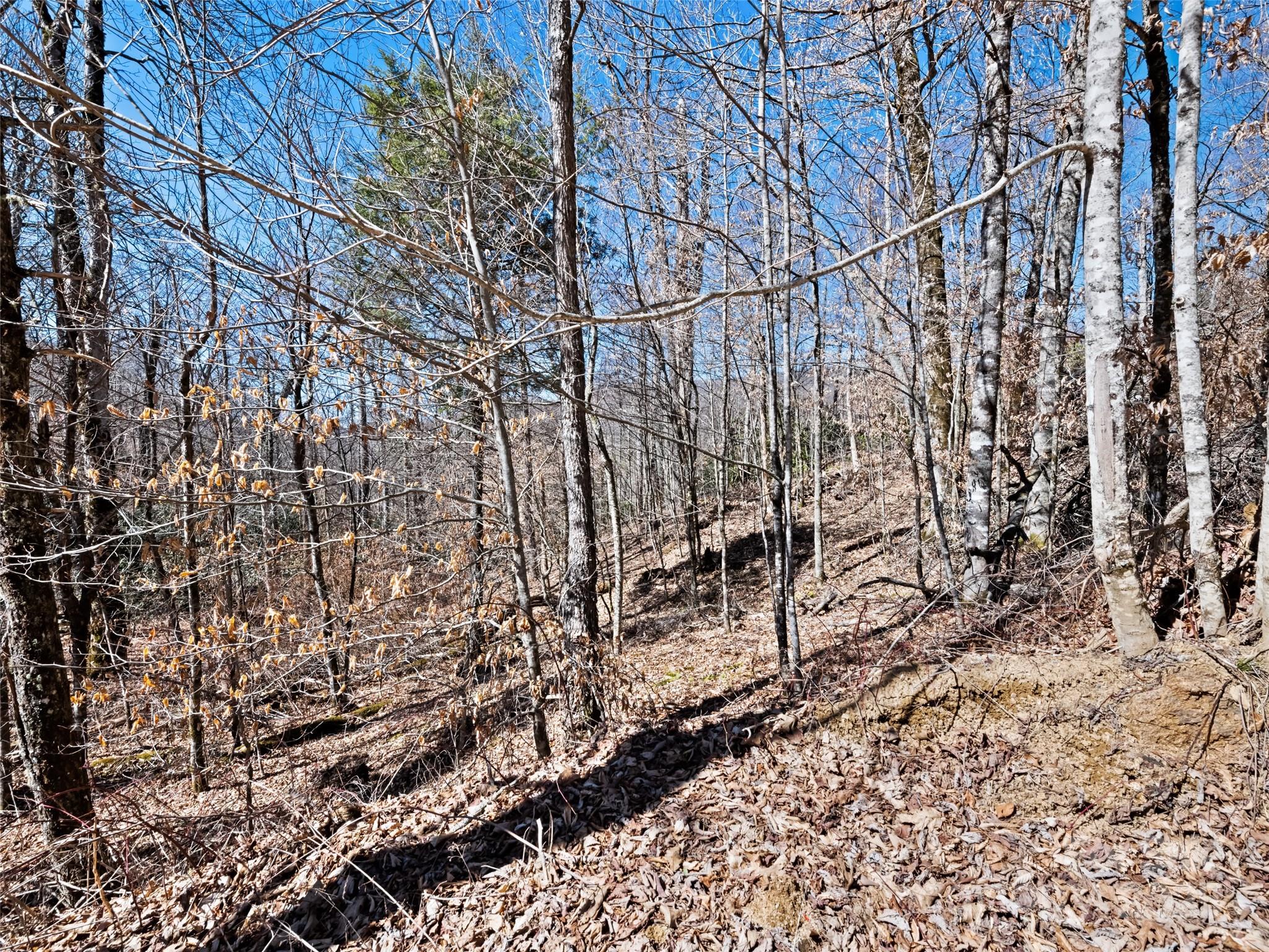 Lot 6 Spruce Flats Road Property Photo 7