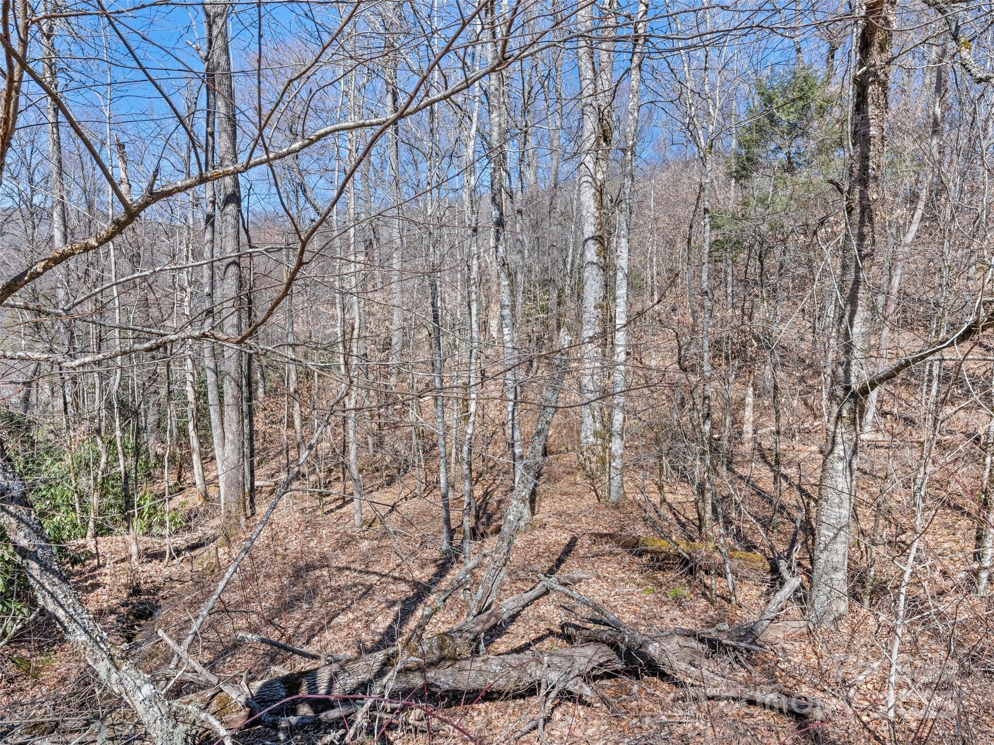 Lot 7 Spruce Flats Road Property Photo 9