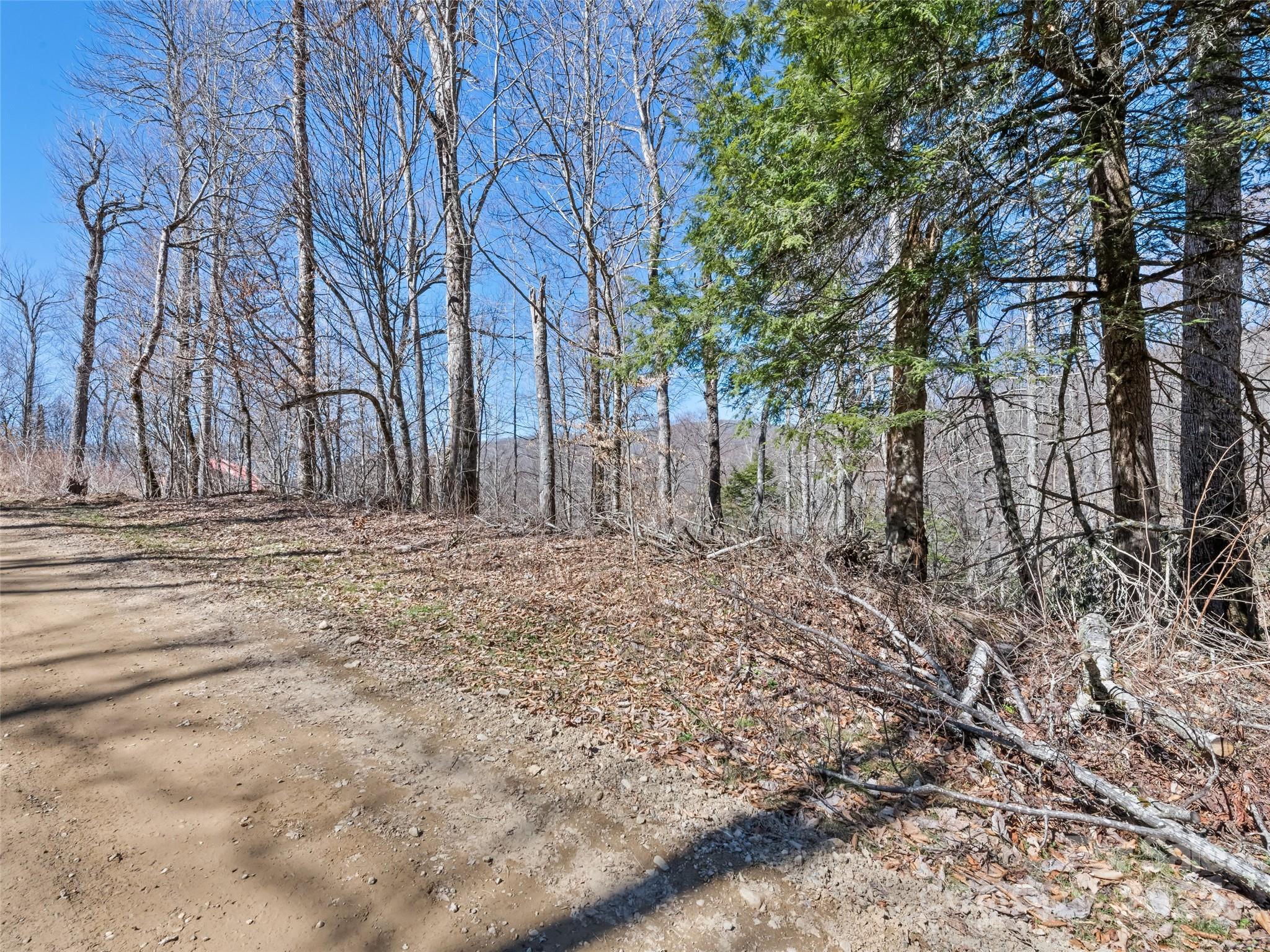 Lot 7 Spruce Flats Road Property Photo 10