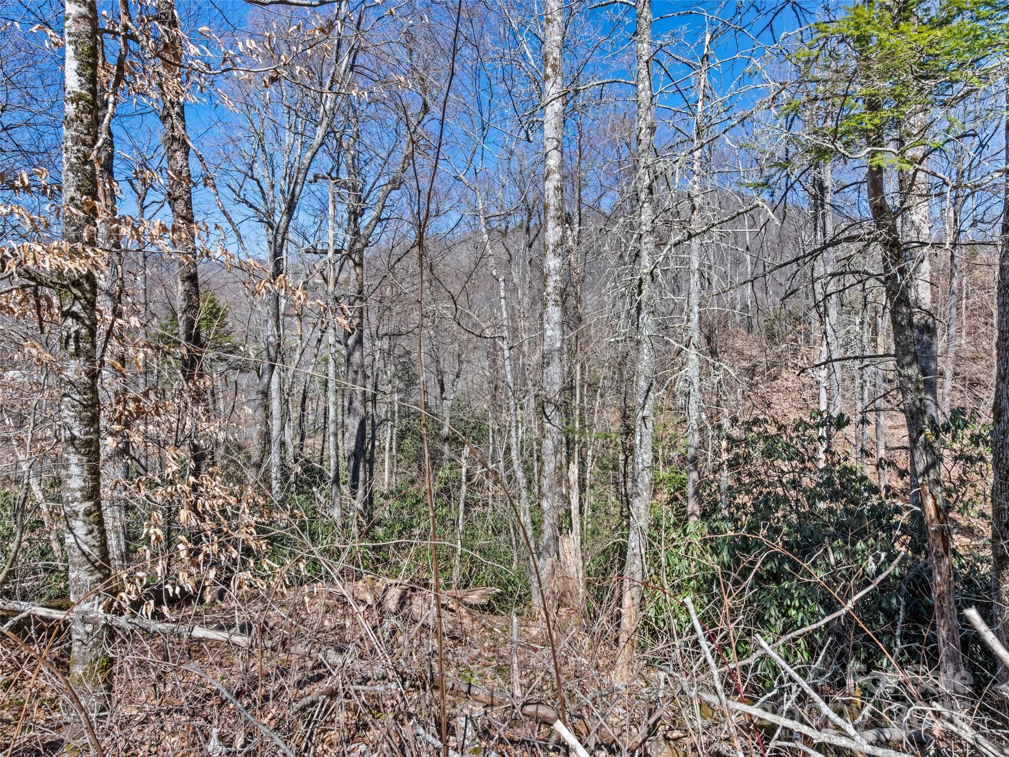 Lot 7 Spruce Flats Road Property Photo 11