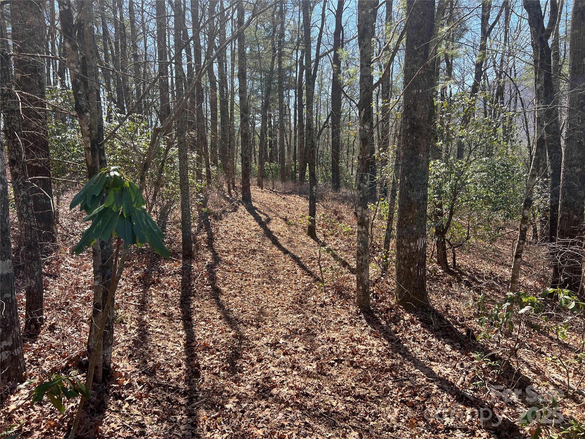 Tbd Panther Ridge Road Property Photo 1
